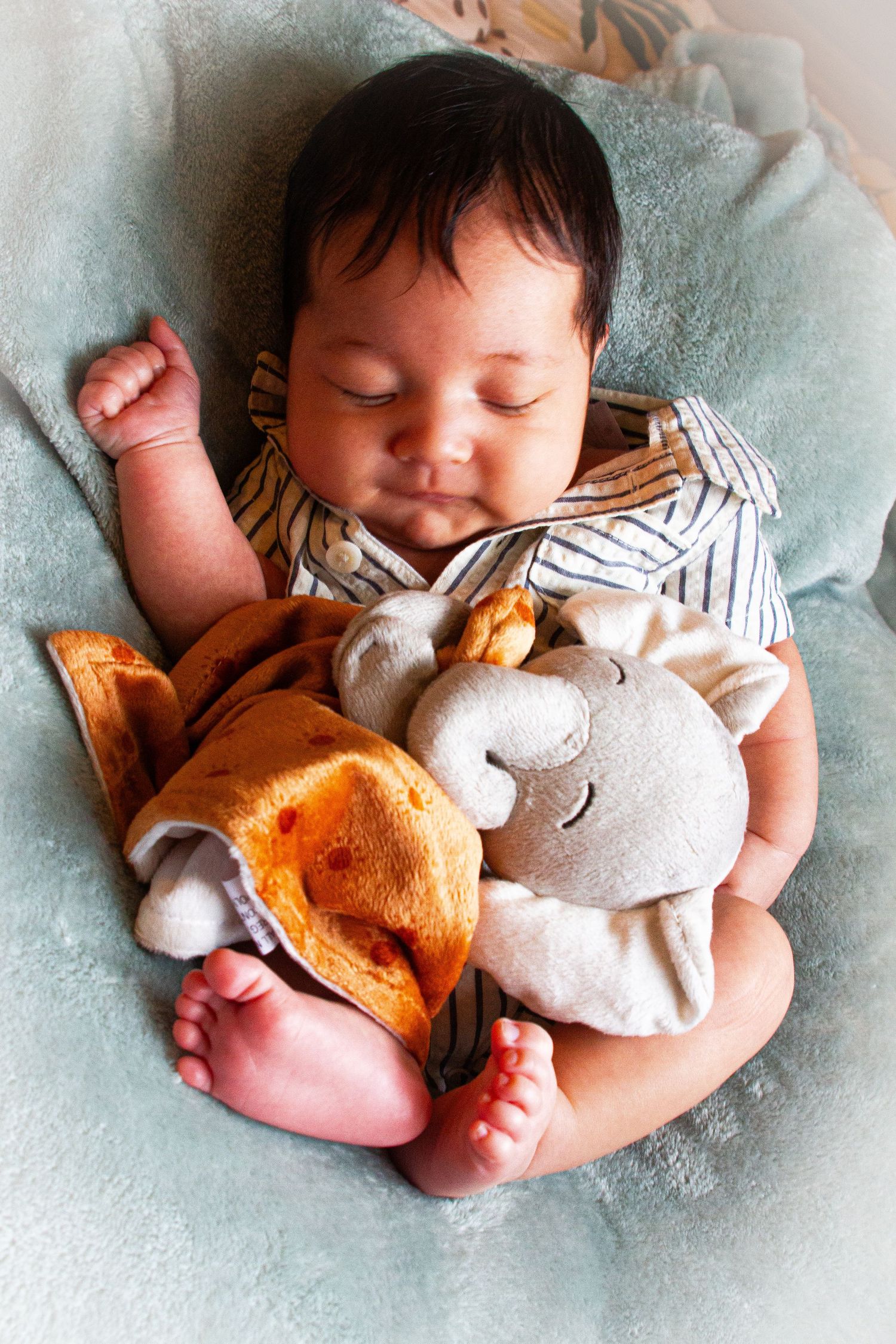 Sleepy Newborn