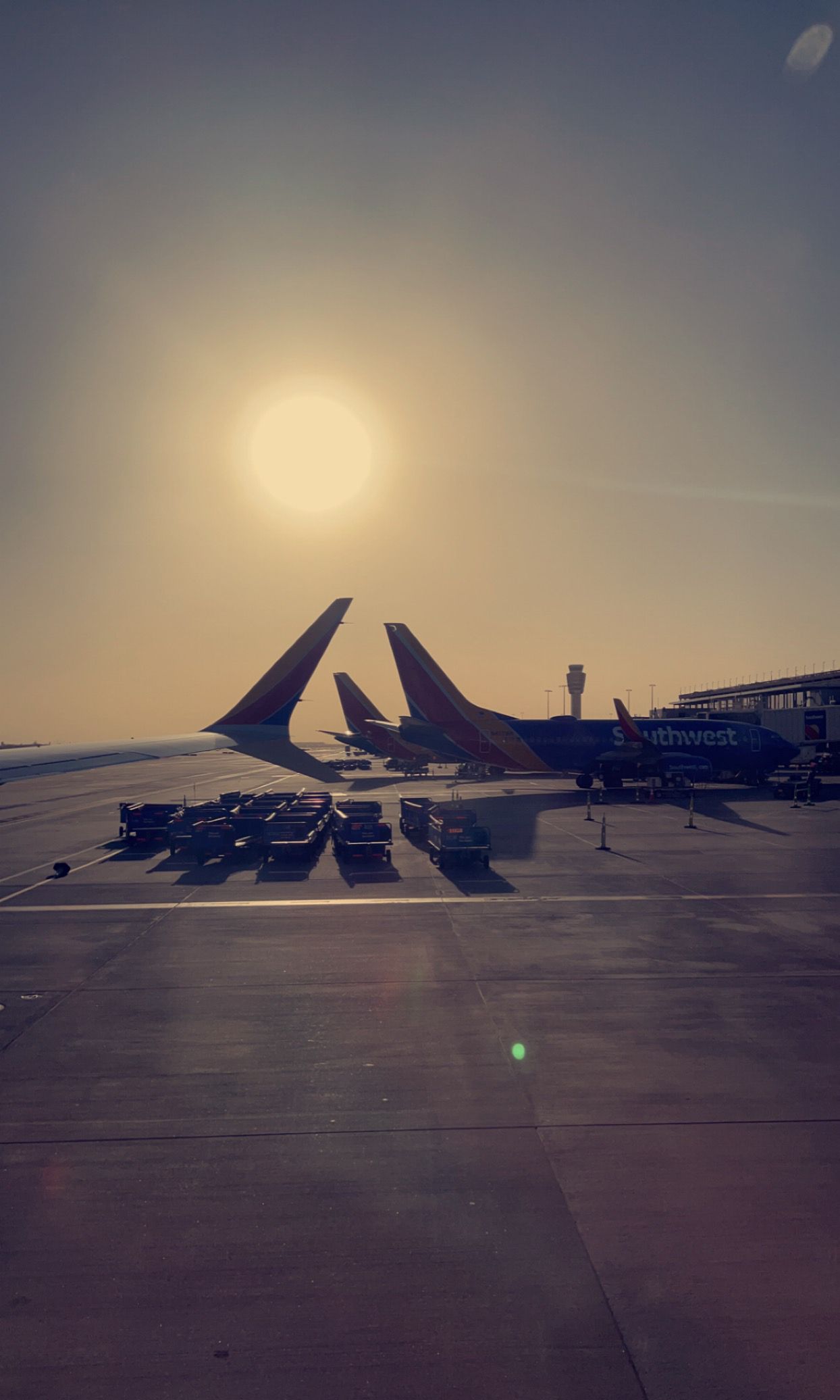 Plane tails with foggy sun