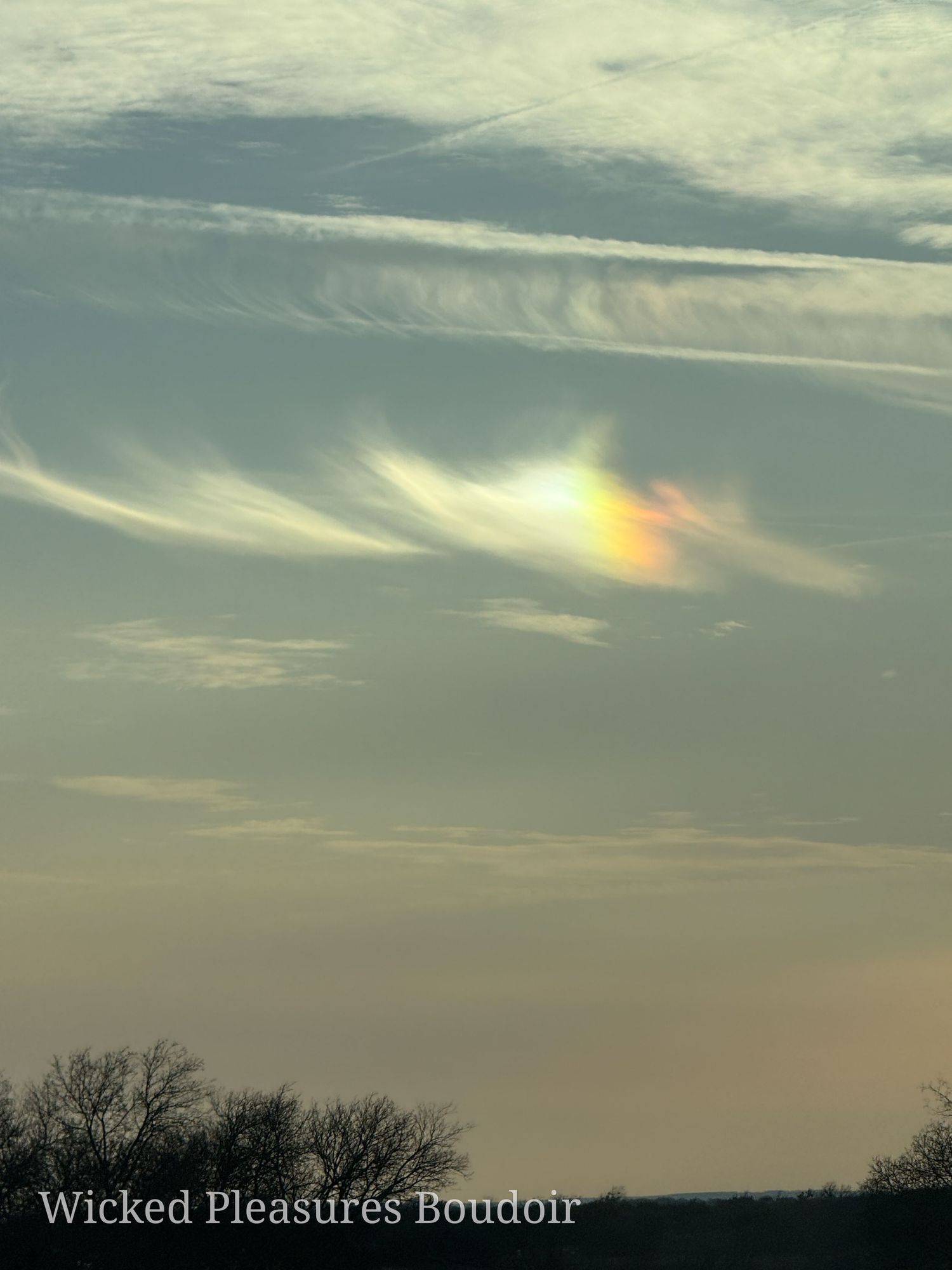 Rainbow in the wind