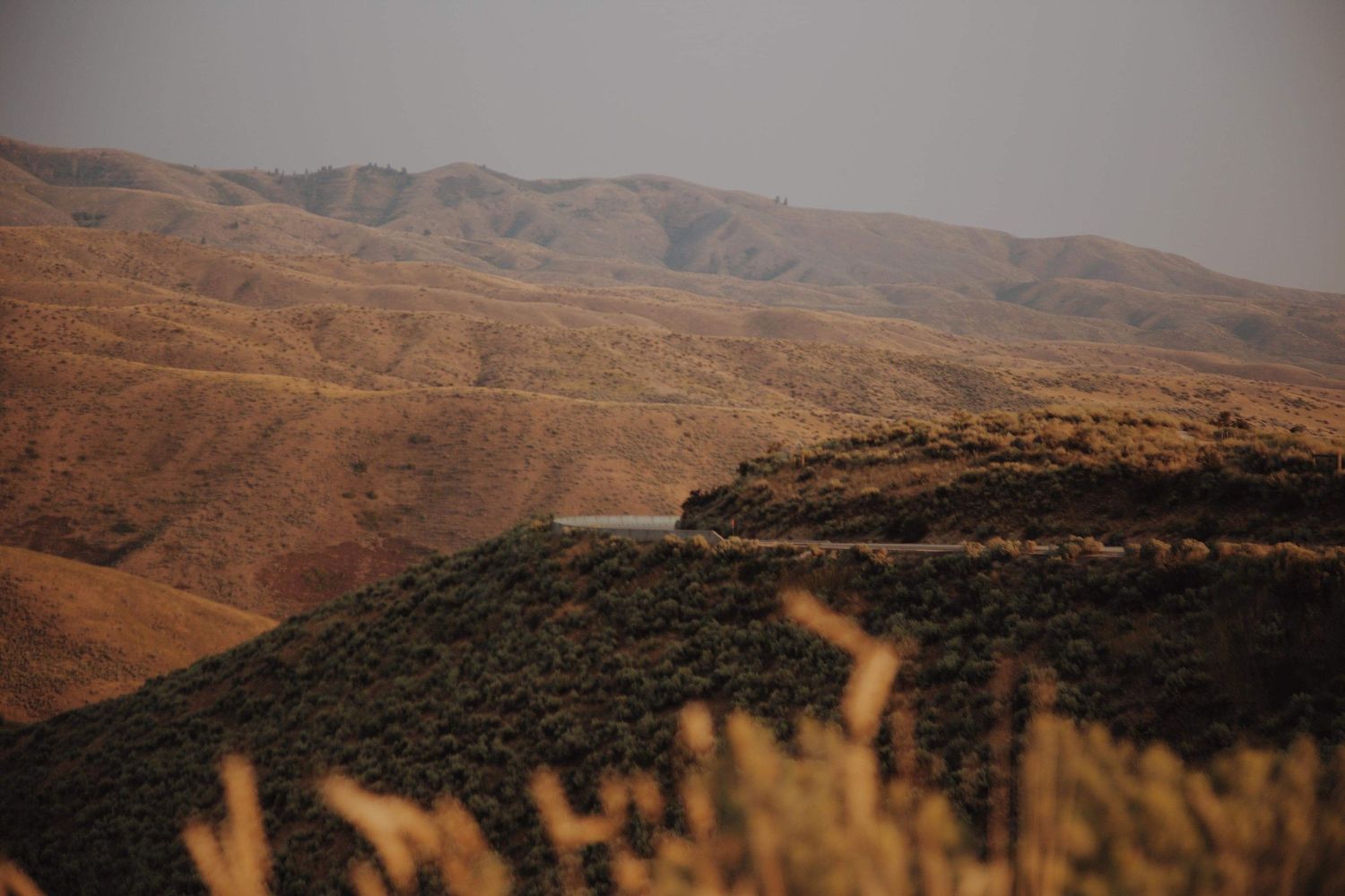 landscape photo