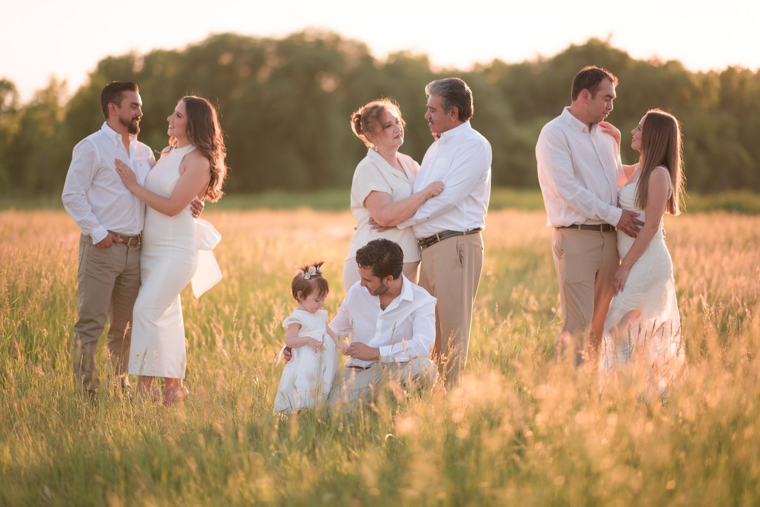 Family portrait of couples and children posing in a golden sunlit field during a warm summer evening.