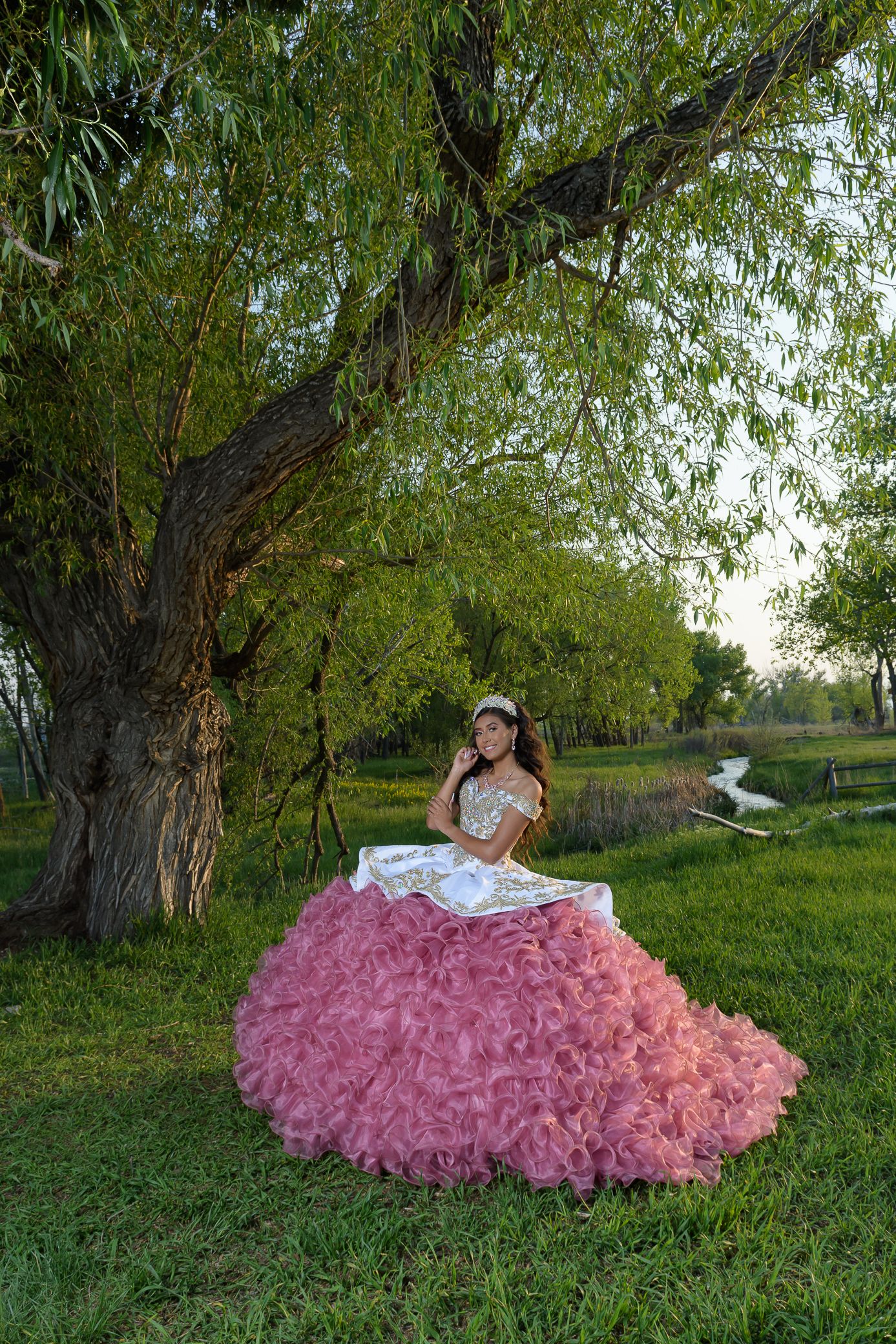 Young woman in pink ruffled quinceañera gown poses under large willow tree in green field.