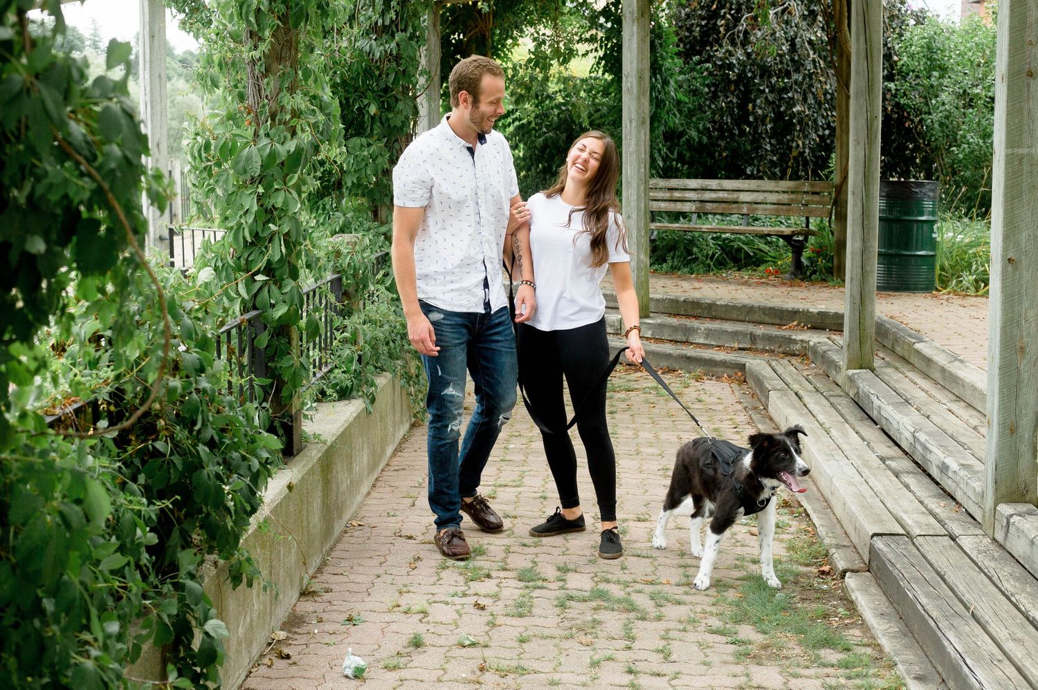 A couple strolls together with their Border Collie along a charming brick pathway under a pergola.