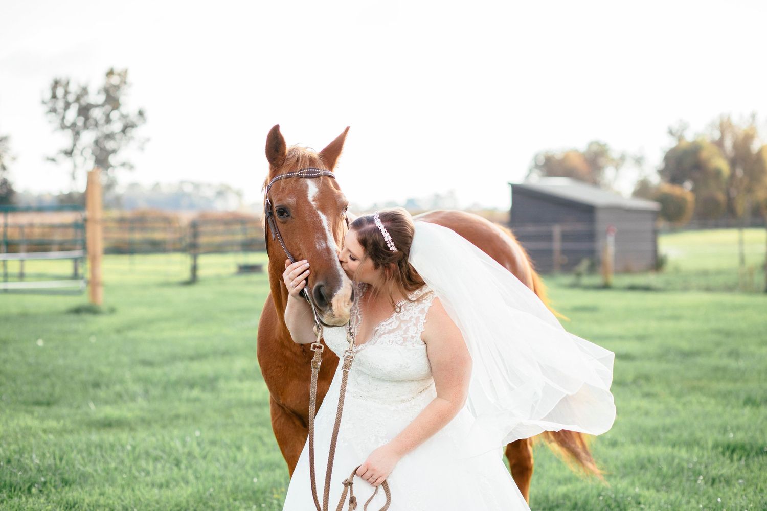 Bride in lace wedding dress affectionately nuzzles chestnut horse in green pasture at golden hour.