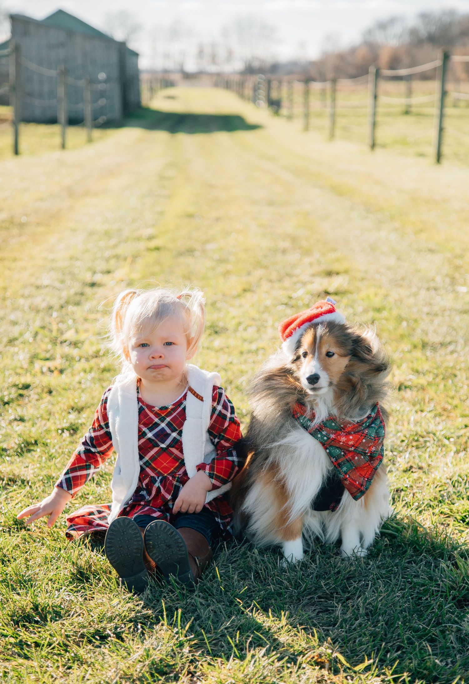 Toddler girl in plaid dress sits on grass beside a Shetland Sheepdog wearing a festive bandana.