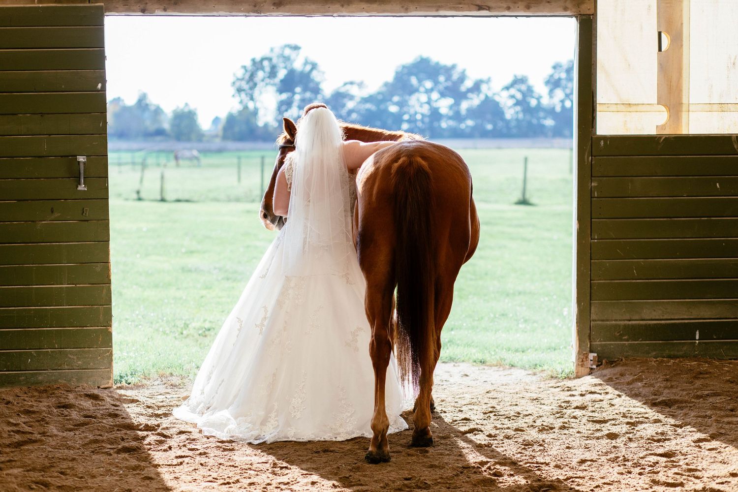 Bride in white wedding gown and veil stands beside chestnut horse at barn doorway overlooking field.