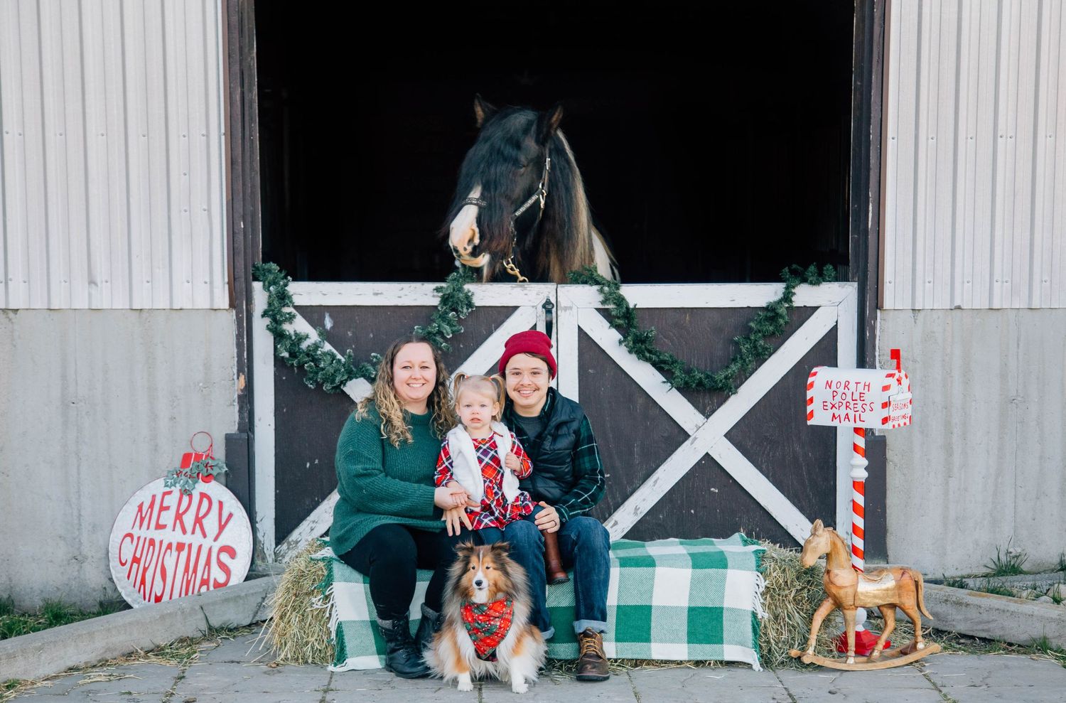 Two women with baby, dog, and horse at Christmas-decorated barn for holiday photos.