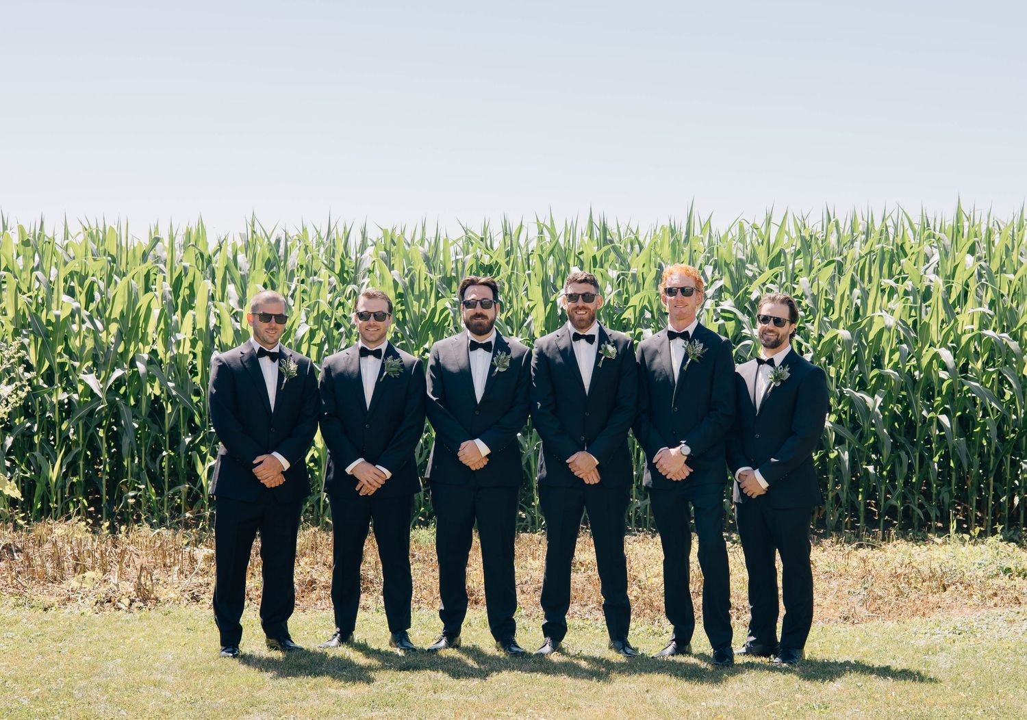 Six groomsmen in matching black tuxedos with bow ties posing in front of a lush green cornfield on a sunny day.