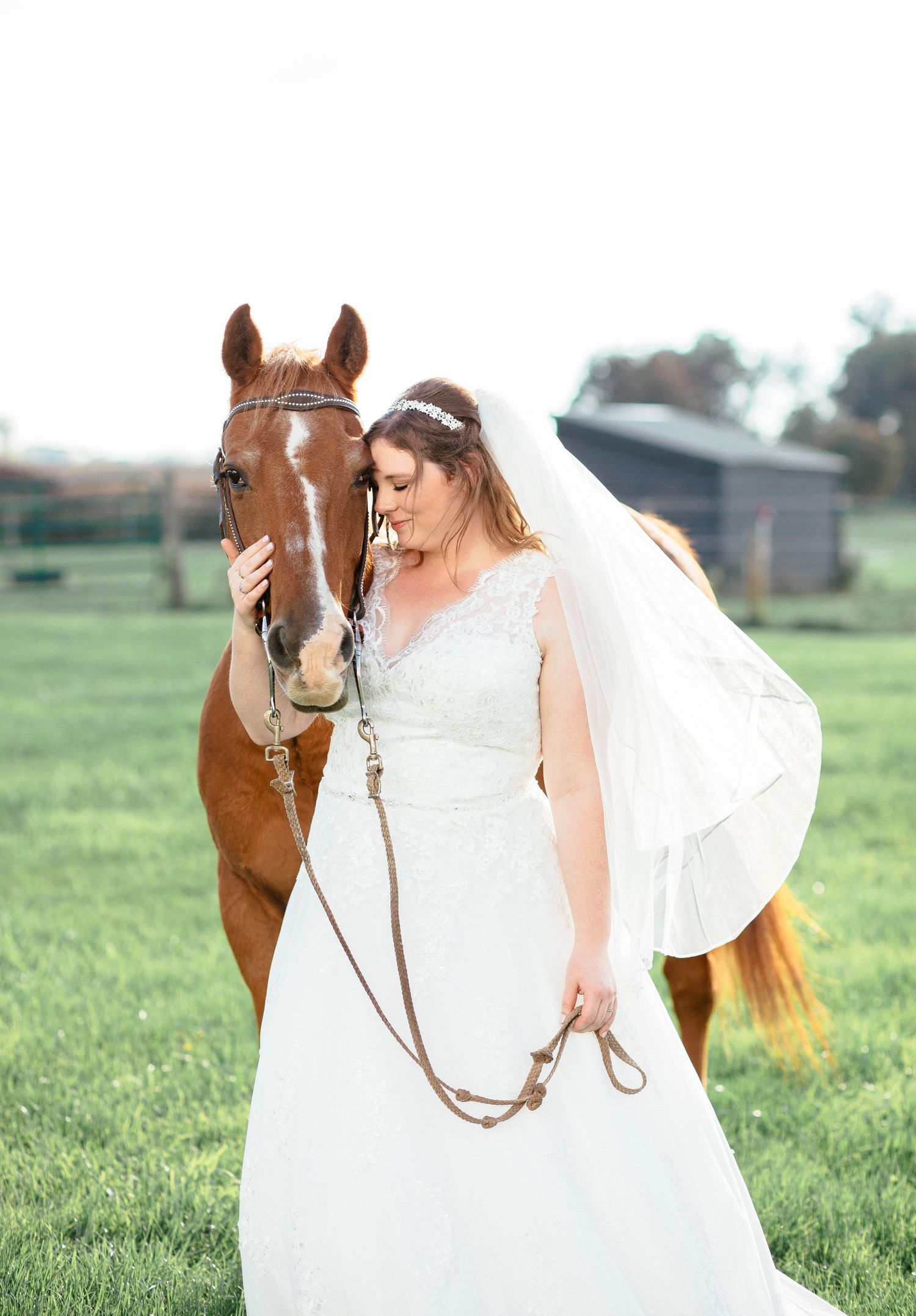 Bride in lace wedding gown tenderly embraces chestnut horse while holding reins in green pasture.