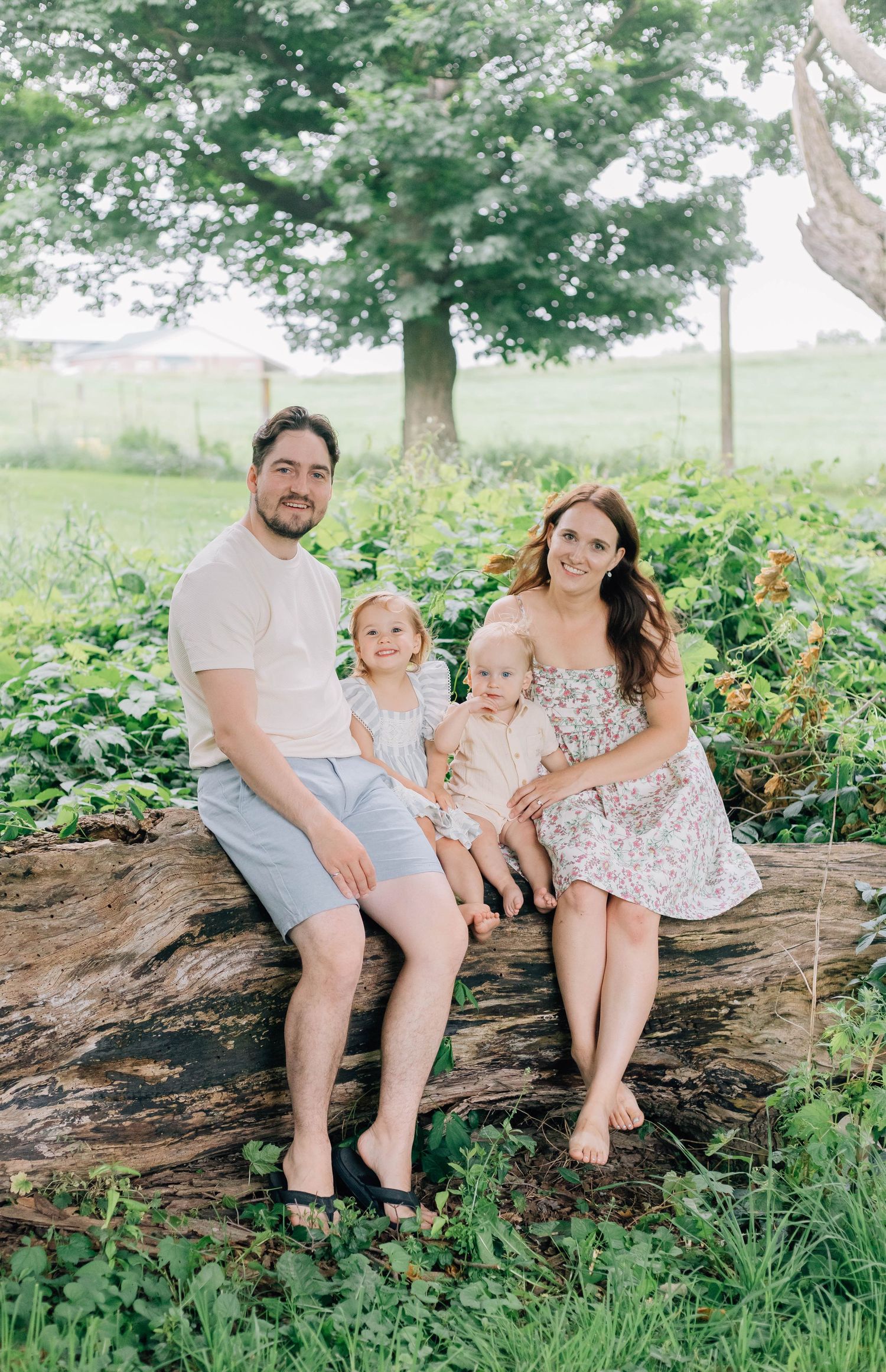 Family of four sitting on a log surrounded by greenery during a summer outdoor portrait.