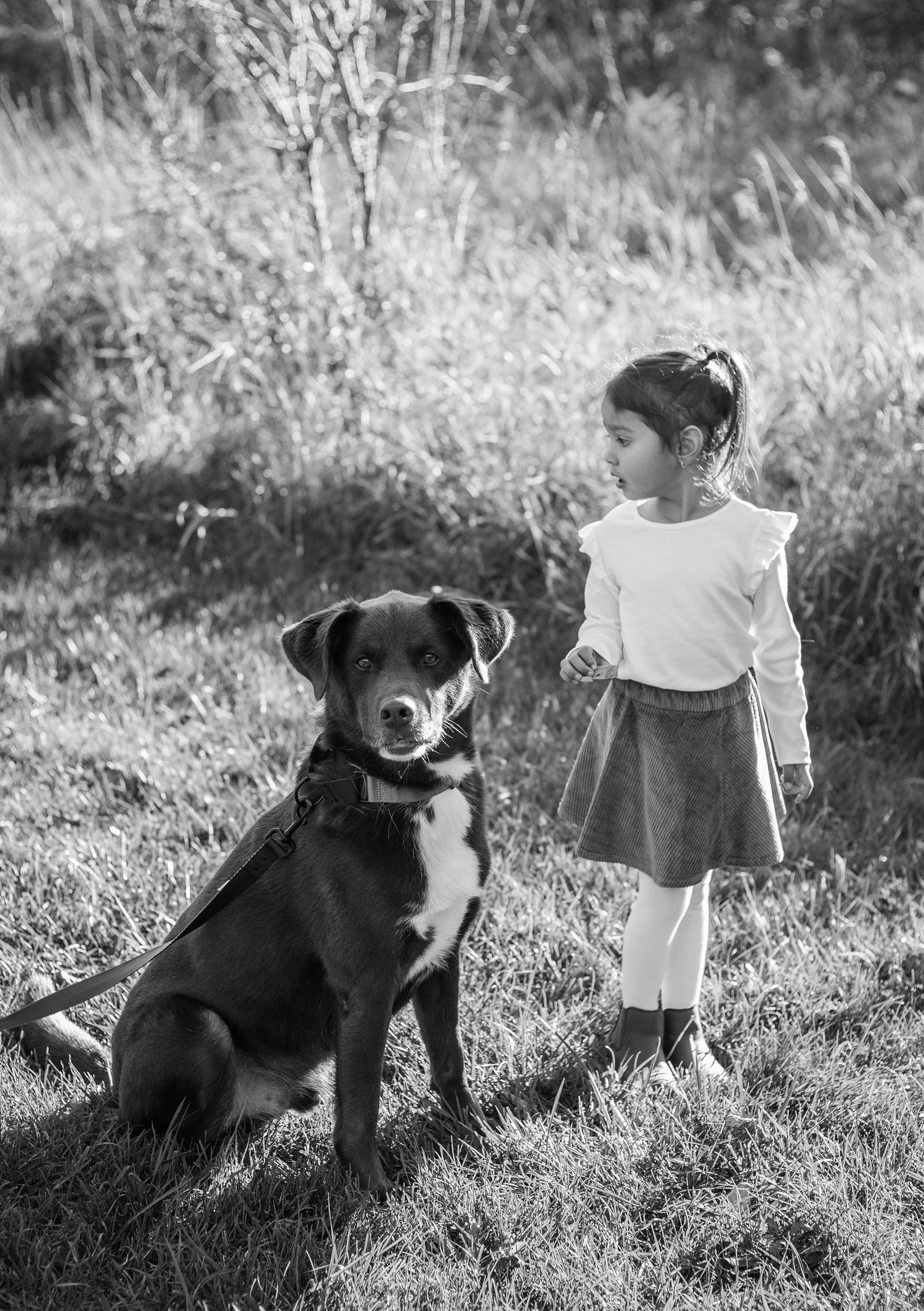 Black and white photo of young girl standing beside a large dog sitting on grass outdoors.