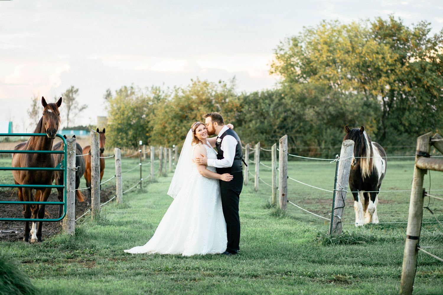 Bride and groom sharing a romantic kiss in a green pasture with horses nearby.