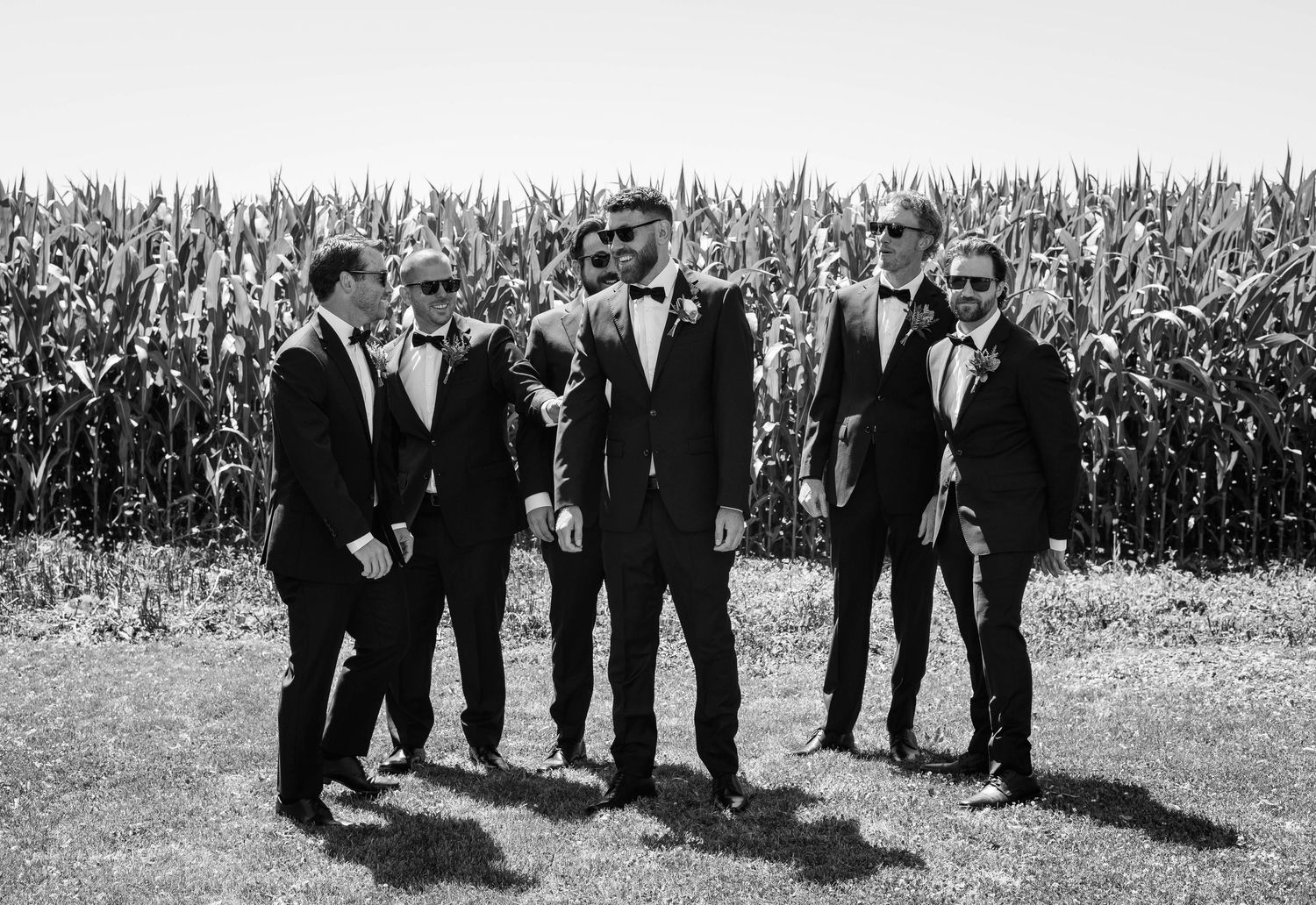 Black and white photo of a groom and groomsmen in tuxedos posing casually in front of a cornfield.