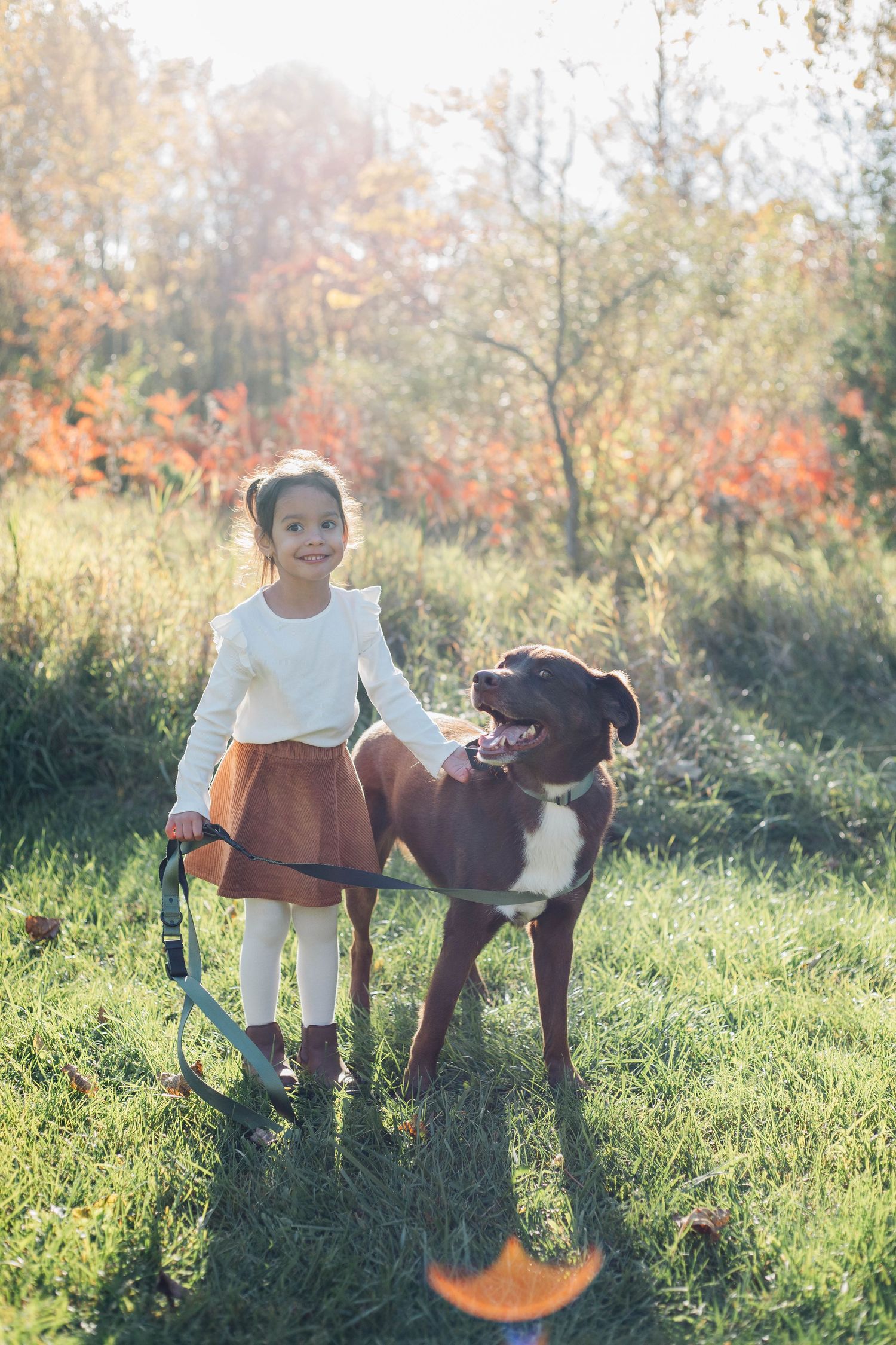Young girl in white top and brown skirt standing with a brown and white dog in autumn field.