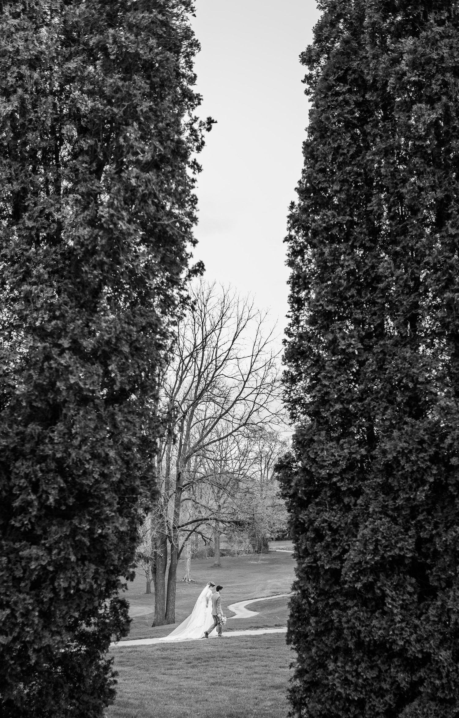 Black and white wedding photo of bride and groom kissing between tall trees in a park.