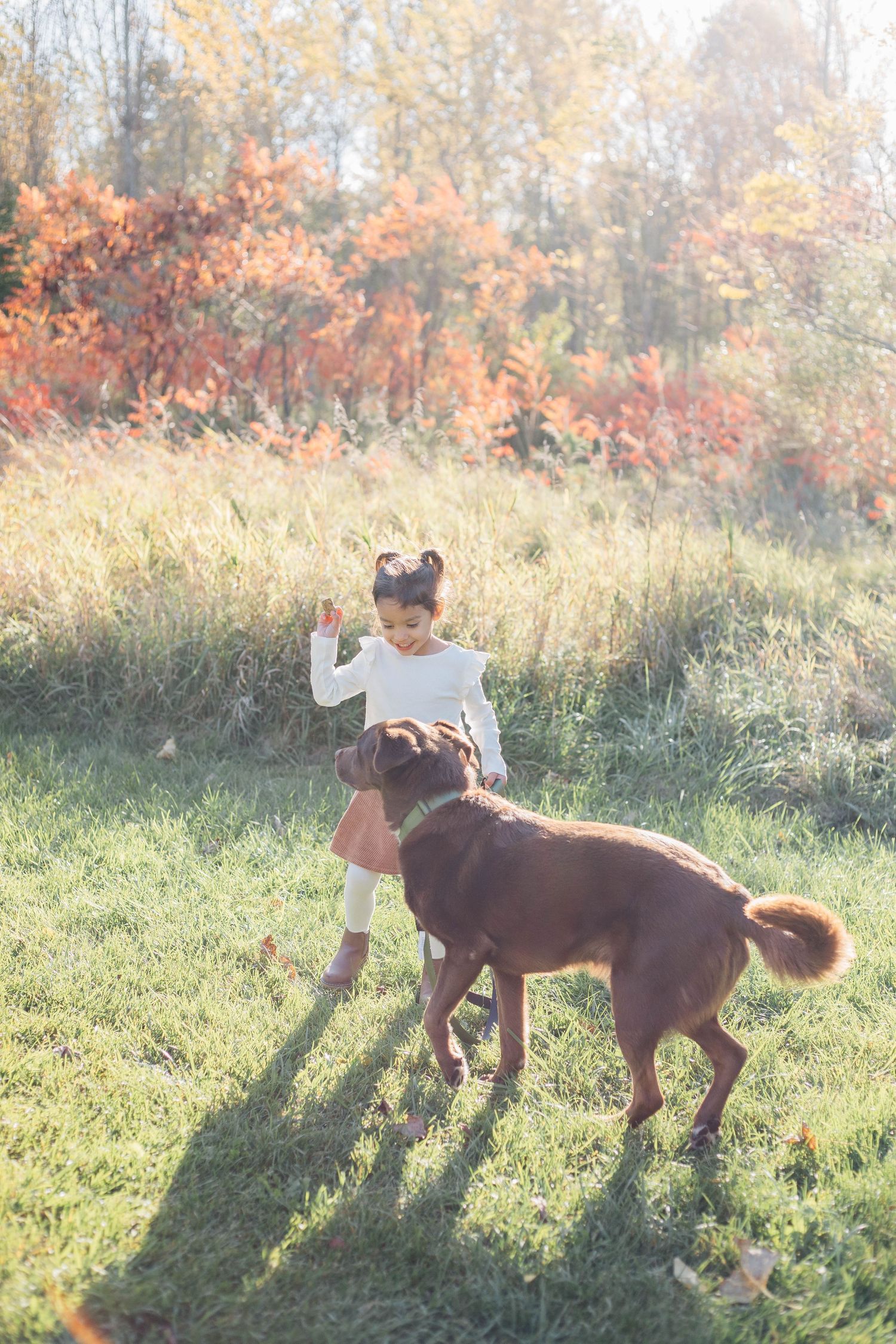 Girl playing with her family dog in a field in Stratford Ontario