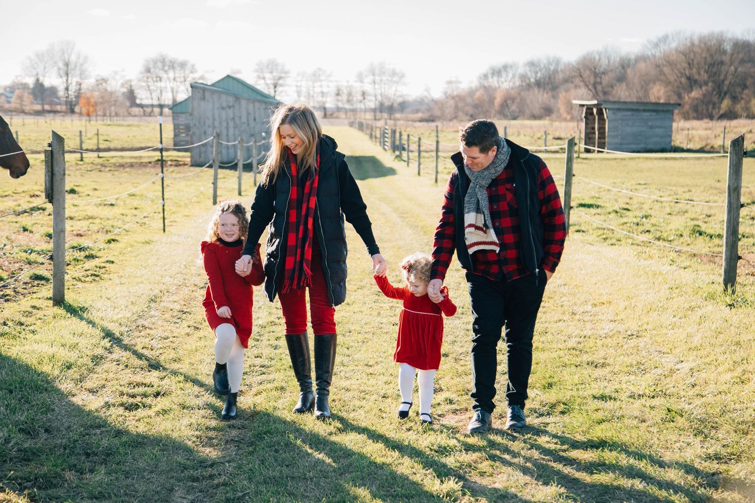 Family of four in red and black outfits walking hand-in-hand through a sunny farm field.