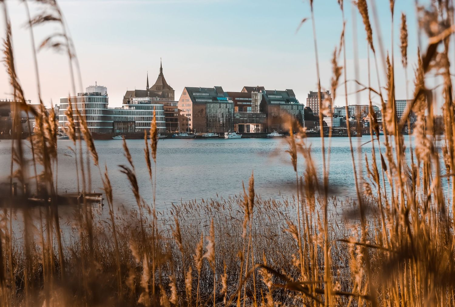 Warnowoblick von Gehlsdorf aus in Rostock