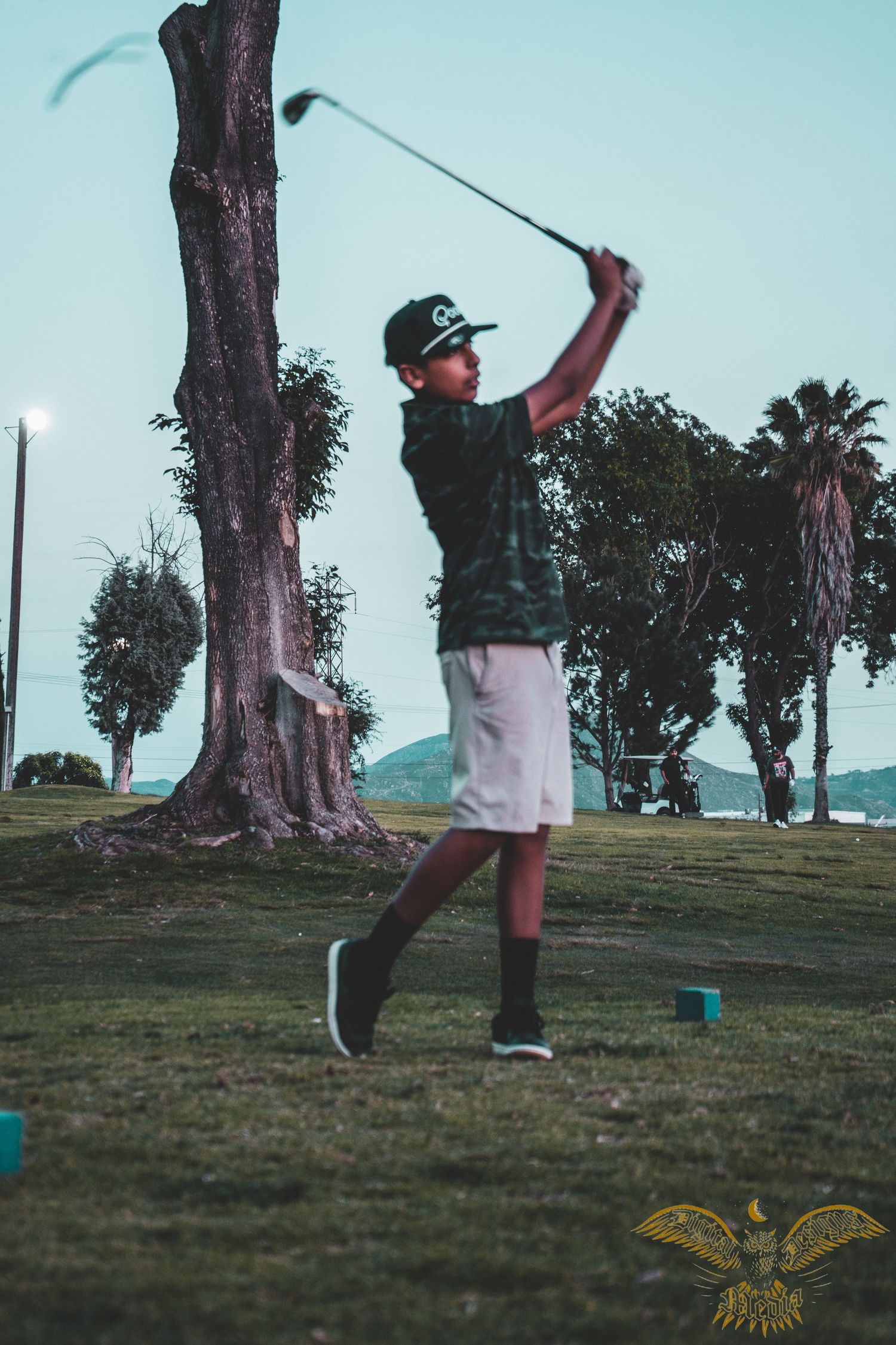6 iron