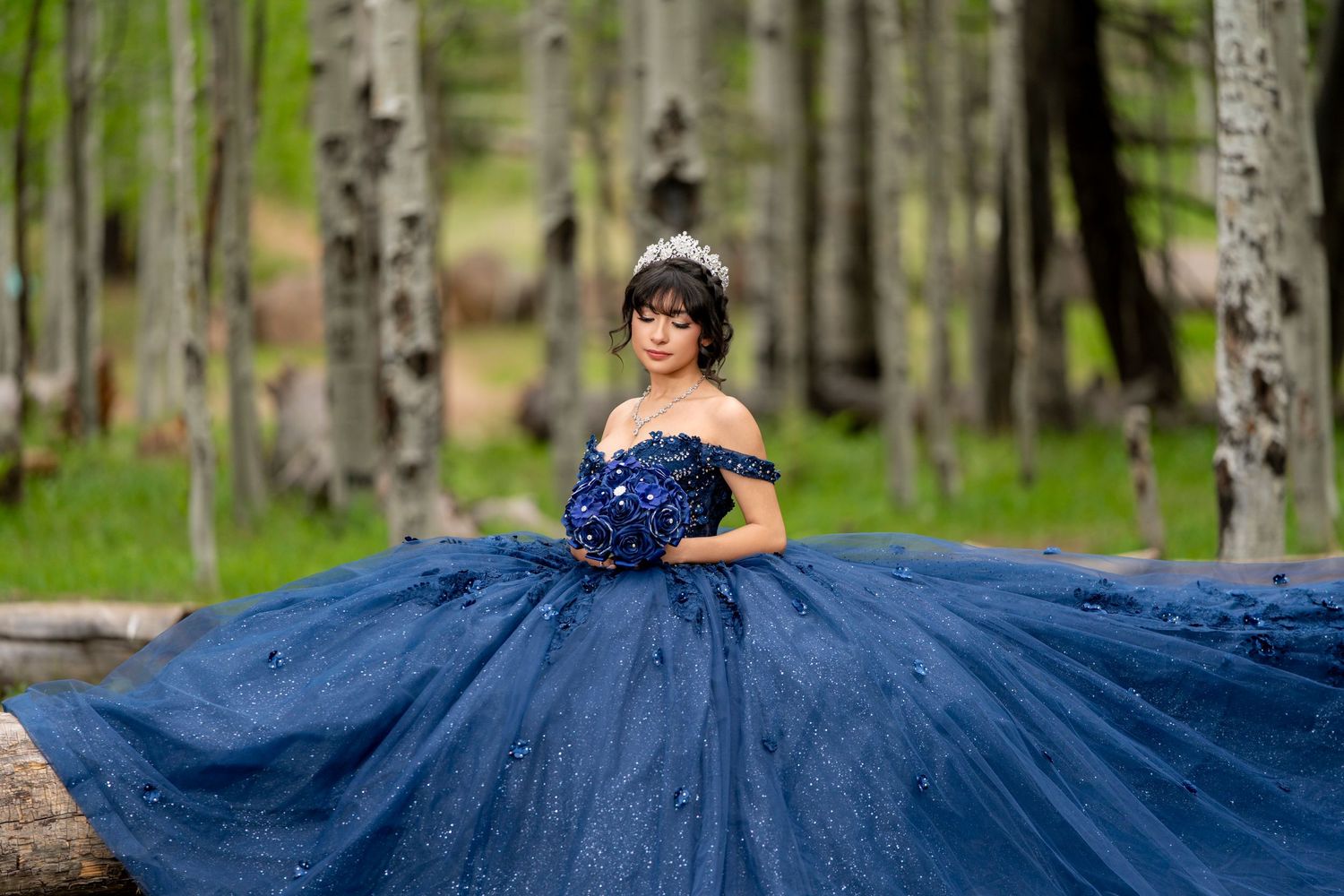 Young woman in a navy blue ball gown with tiara holds bouquet in an aspen forest quinceañera photo.