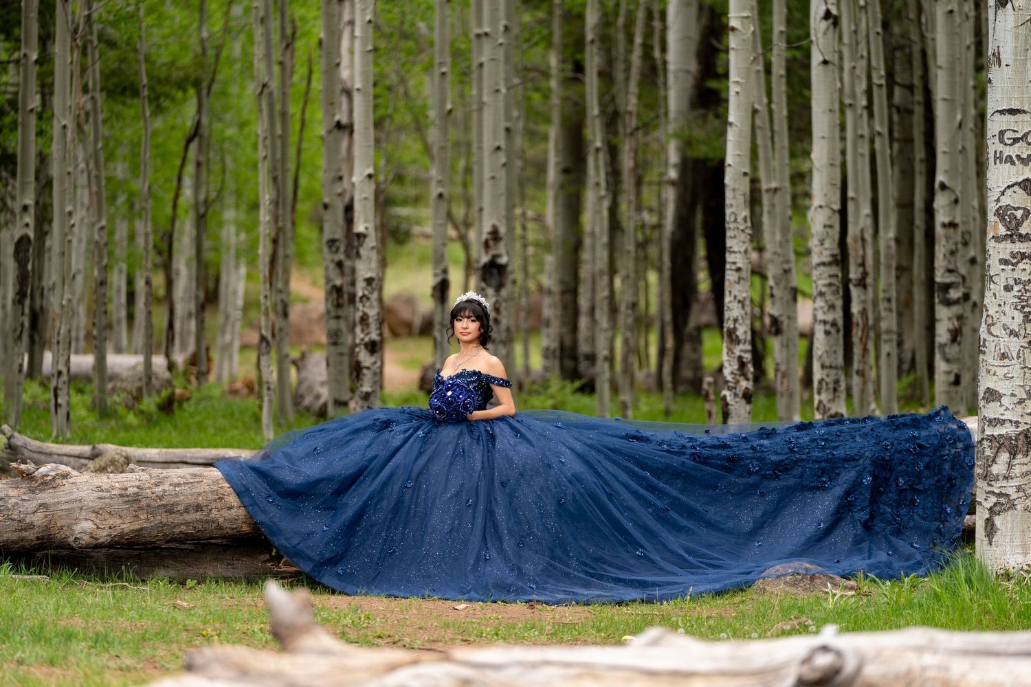 Young woman in a stunning navy blue ball gown poses gracefully among tall aspen trees in a lush green forest.