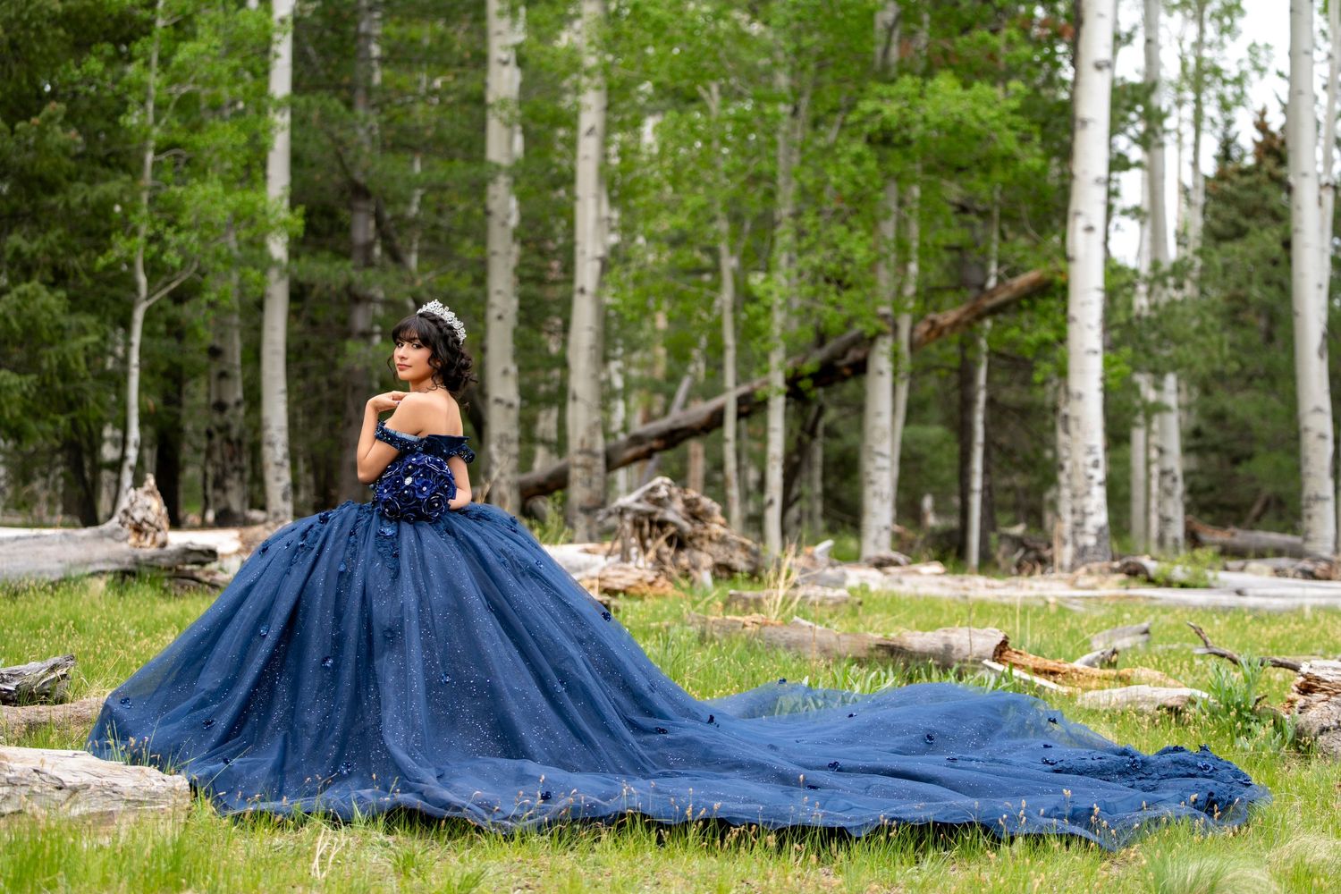 Young woman in elegant navy blue ball gown with long train poses in a forest clearing among aspen trees.