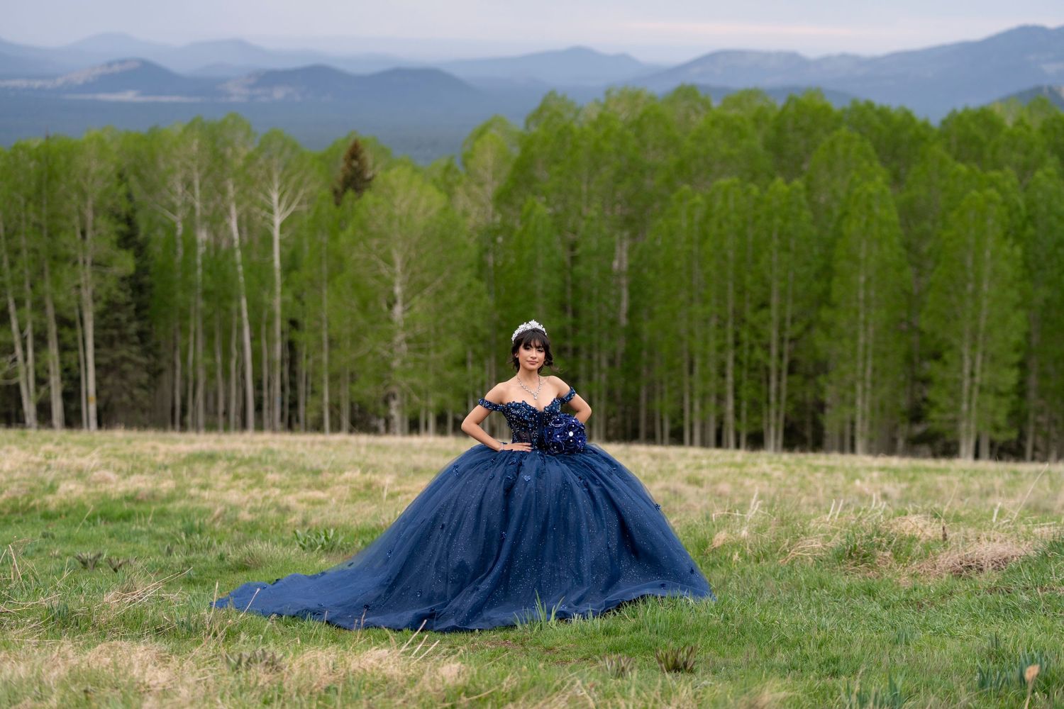 Woman in navy blue ball gown posing in a meadow with forest and mountains in the background.