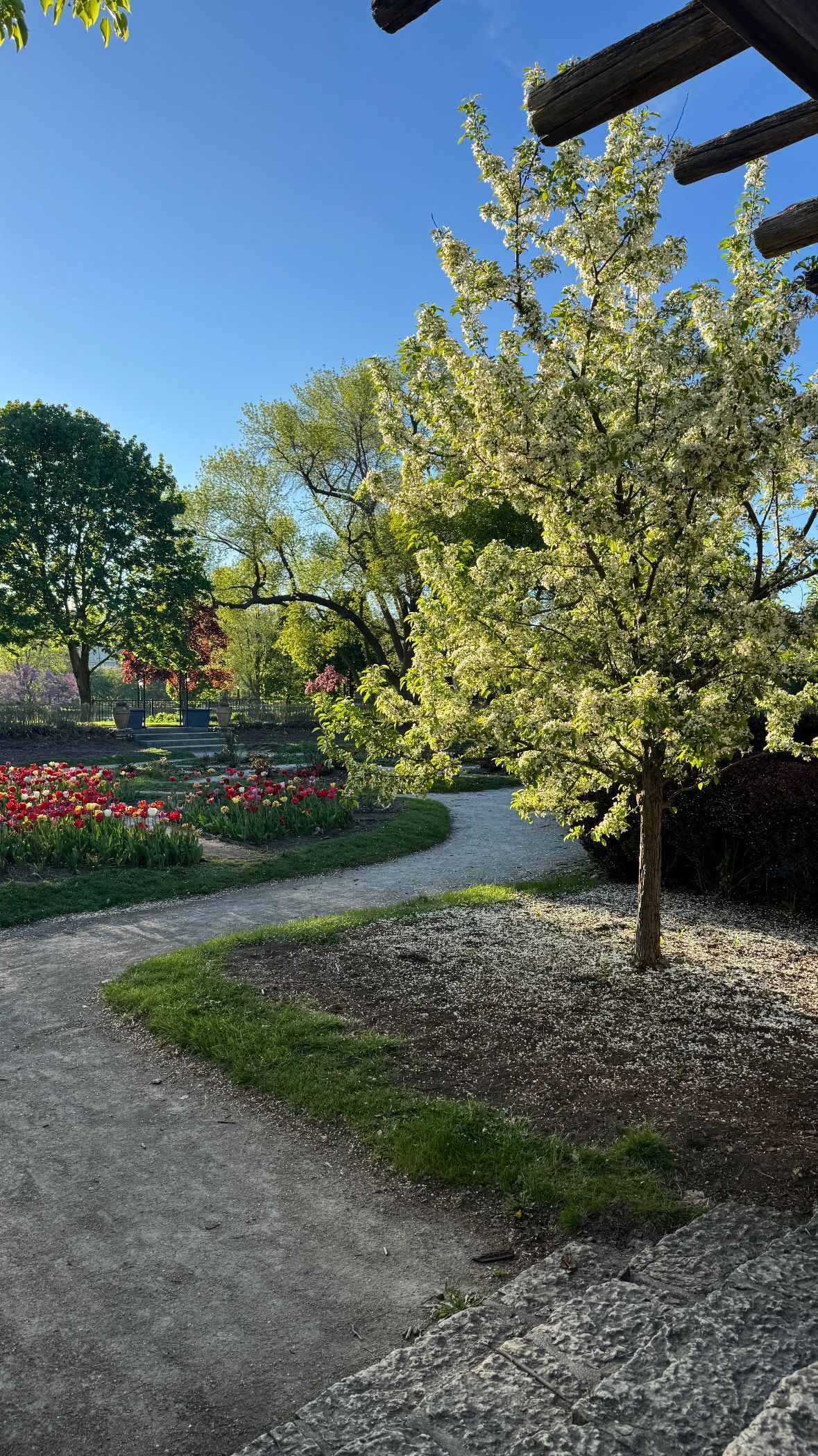 Frame Park Formal Gardens Waukesha County Park System Wisconsin Photographer Floral Photography