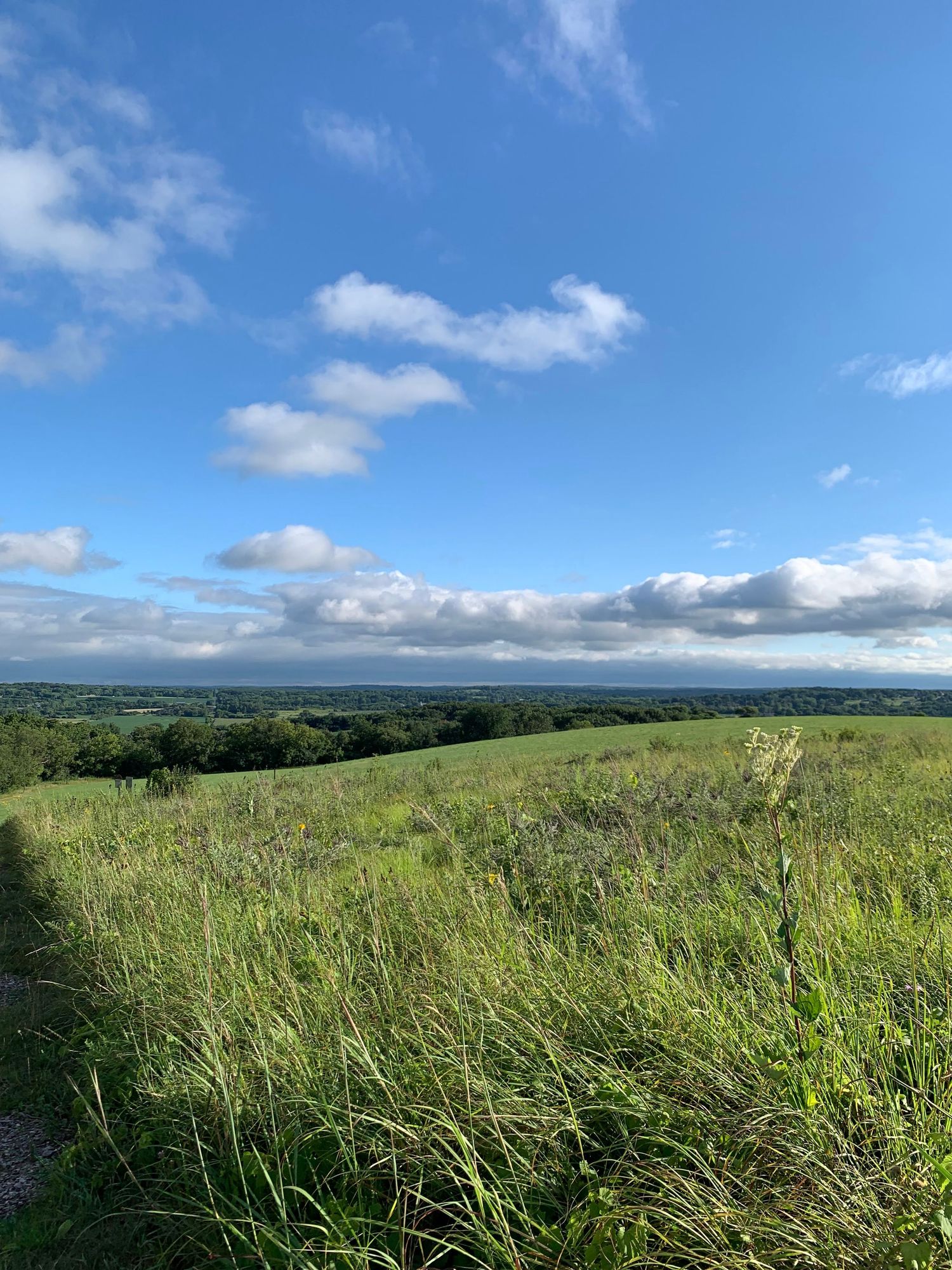 Retzer Nature Center Waukesha Wisconsin Photographer