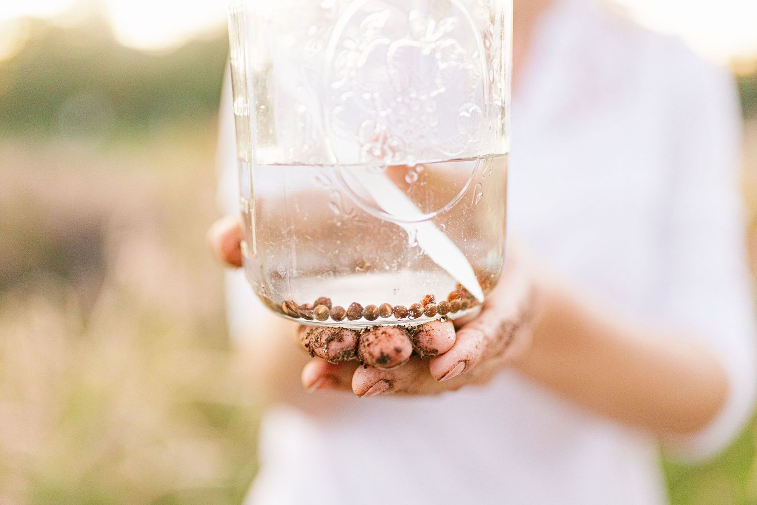 Hands hold a clear glass jar containing small pebbles and water in soft natural lighting outdoors.