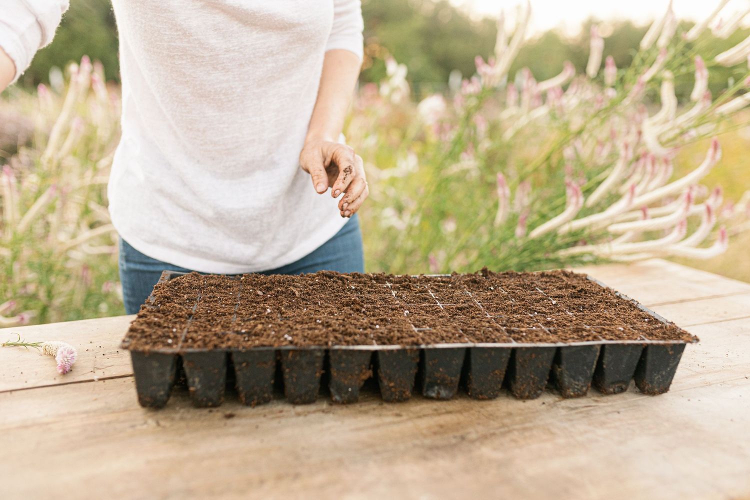 Black plastic seed starting tray filled with soil sits on wooden surface while gardener prepares to plant.