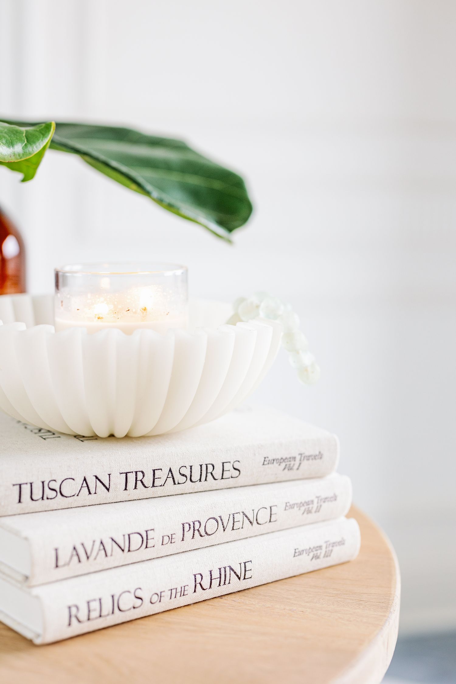 Stack of elegant European travel books with white bindings and a small candle on wooden surface beside green plant leaf.