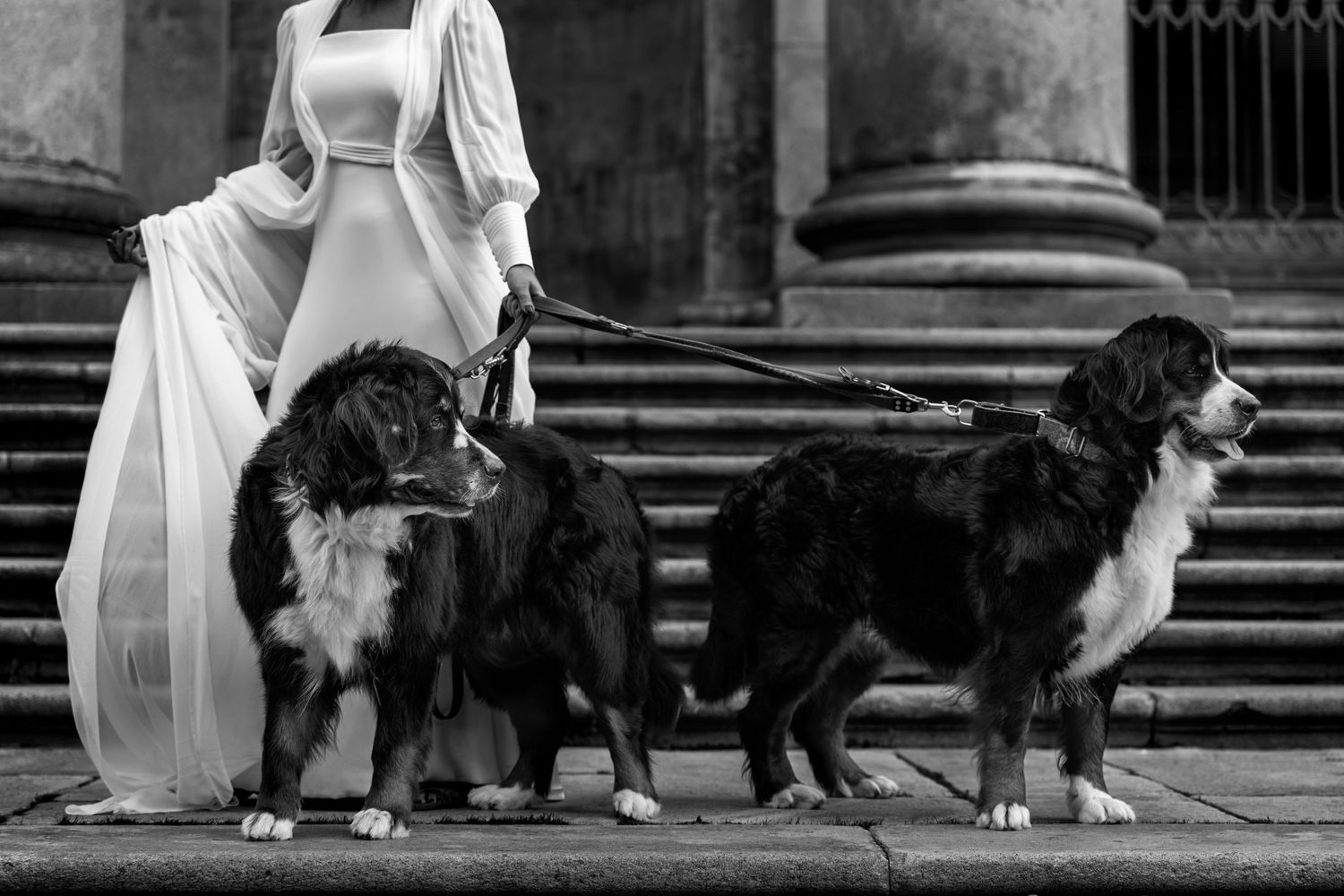 Boda con perro
