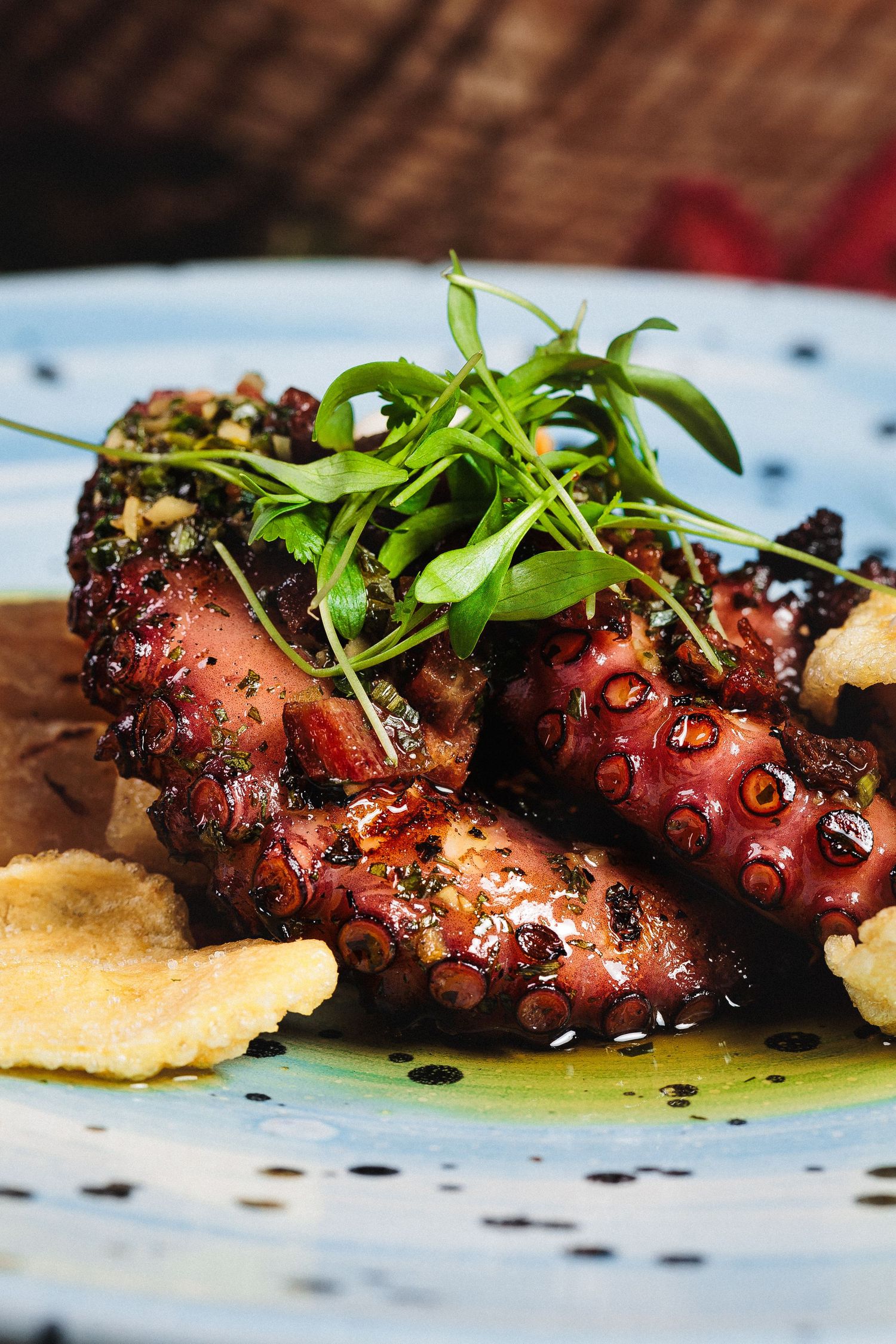 Grilled octopus tentacles garnished with fresh microgreens and olive oil served on a speckled ceramic plate.