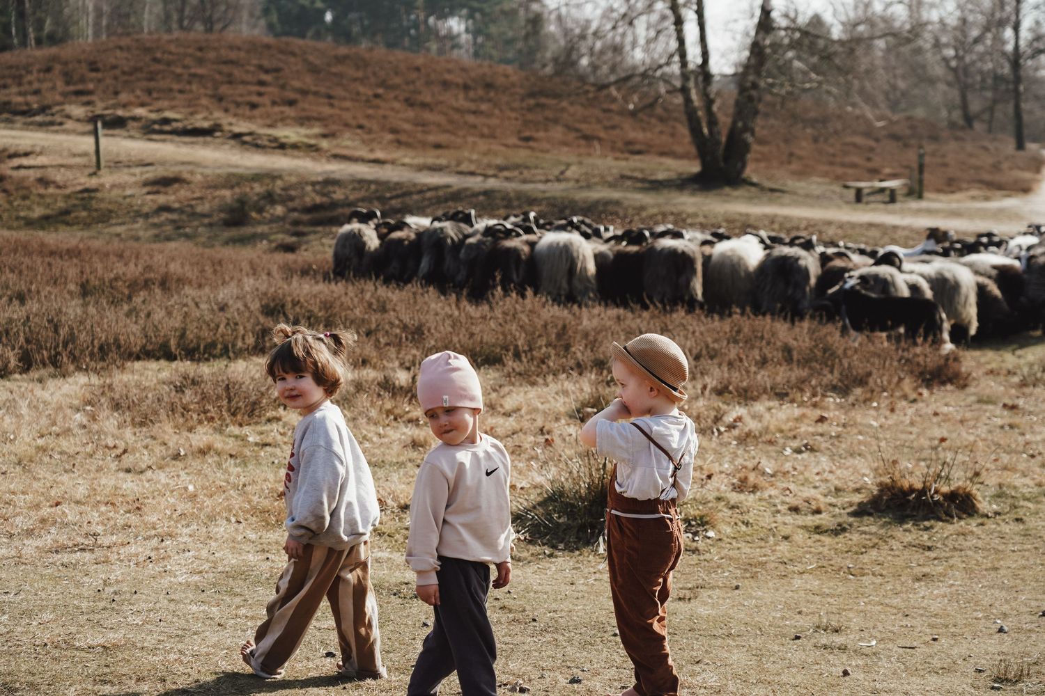 Three small children walking together near a flock of sheep in a rural landscape.