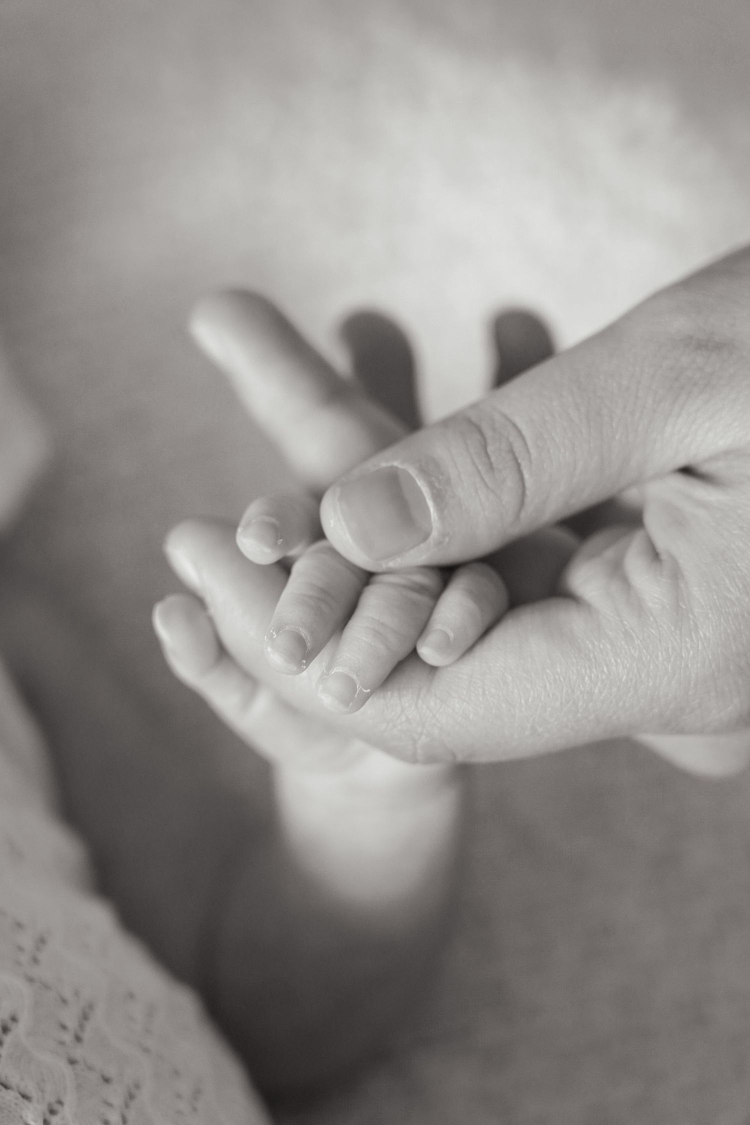 Close-up black and white image of adult and baby hands touching tenderly.