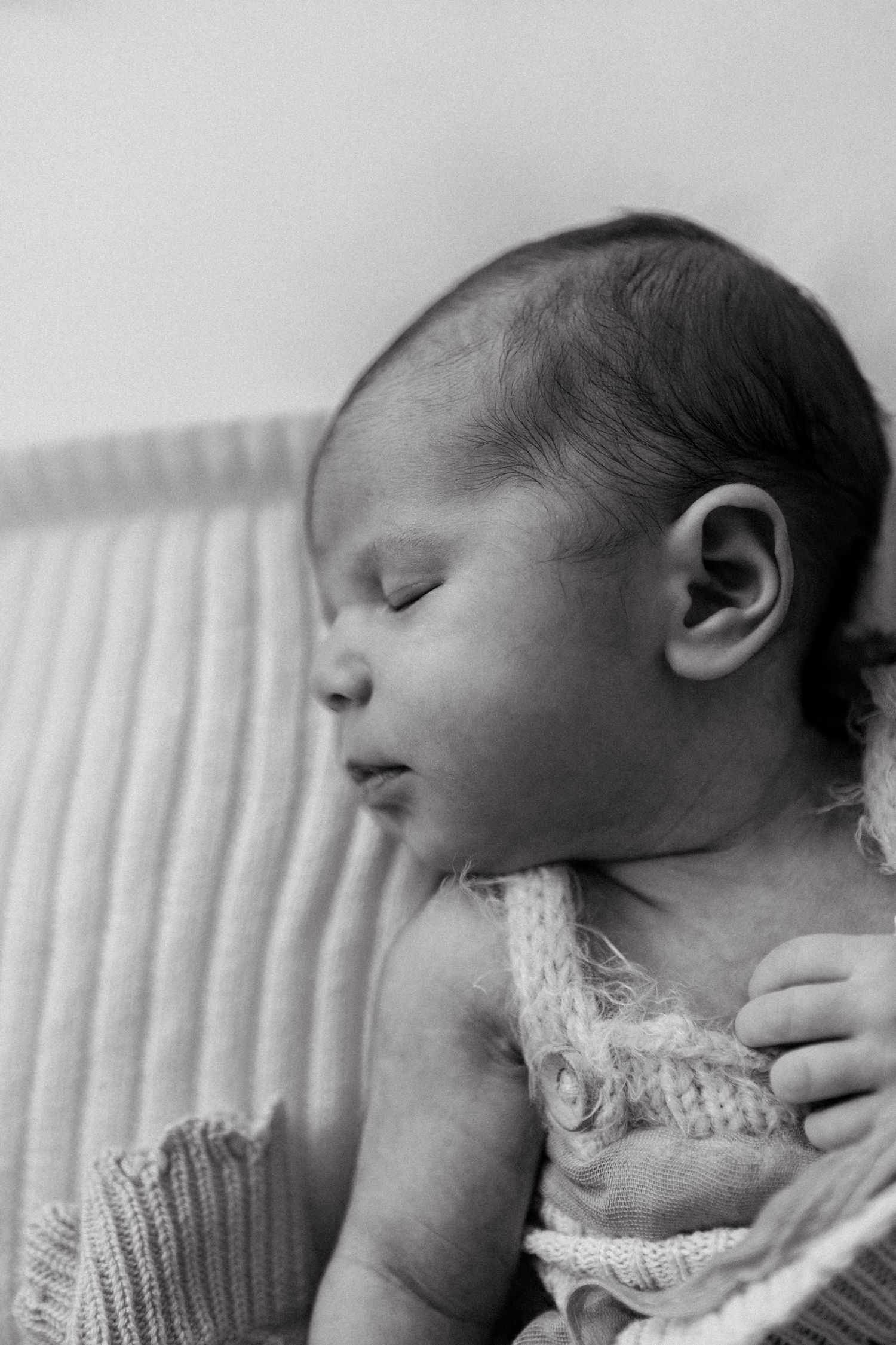 Hierloom Newborn Photo