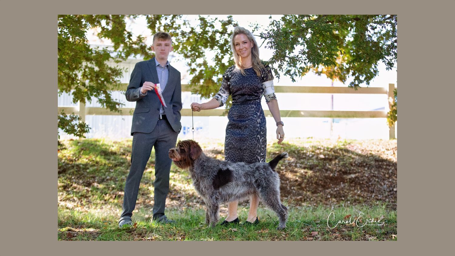 Professional dog handlers with a Wirehaired Pointing Griffon holding a ribbon at a dog show in Hot Springs, AR.