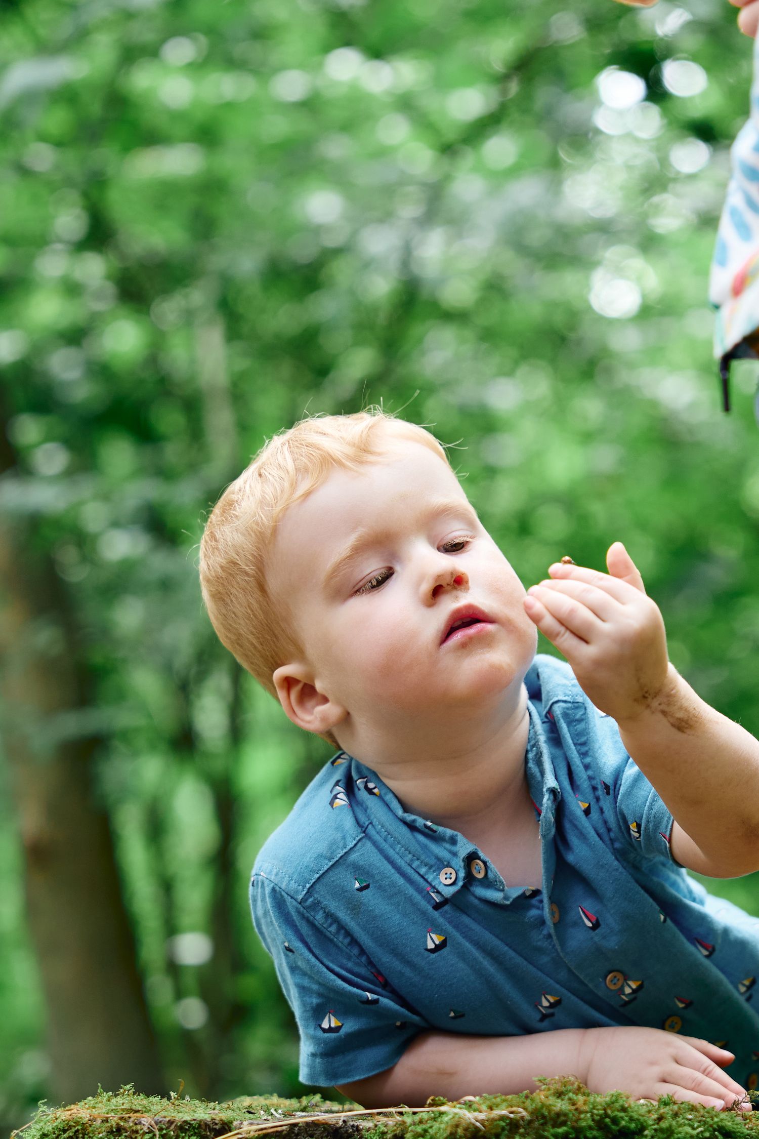 Young child lying on mossy ground in blue shirt looking upward at nature in forest setting.