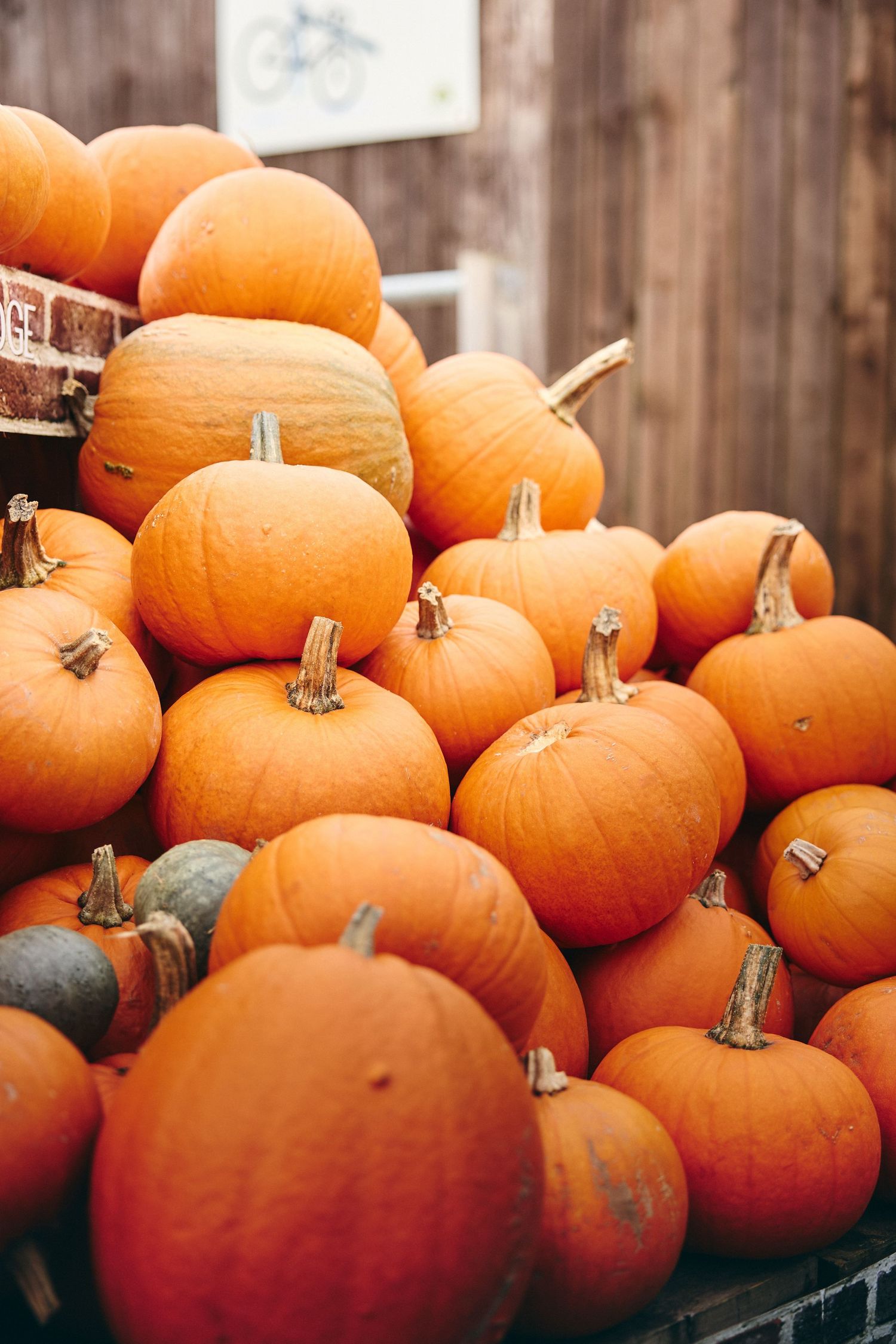 Fresh orange pumpkins stacked together showing their textured surfaces and stems.