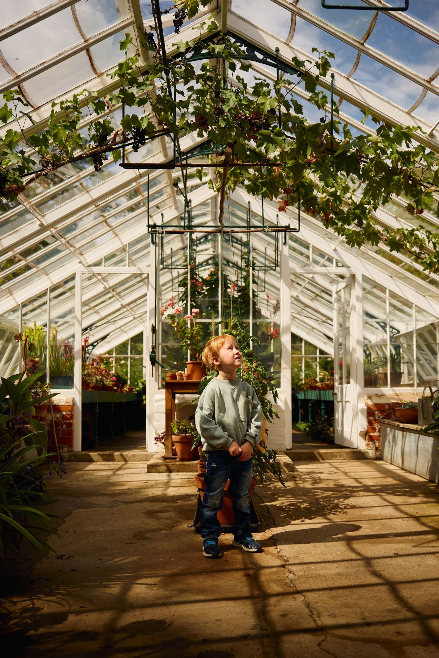 Interior of a sunlit greenhouse with glass ceiling and potted plants.