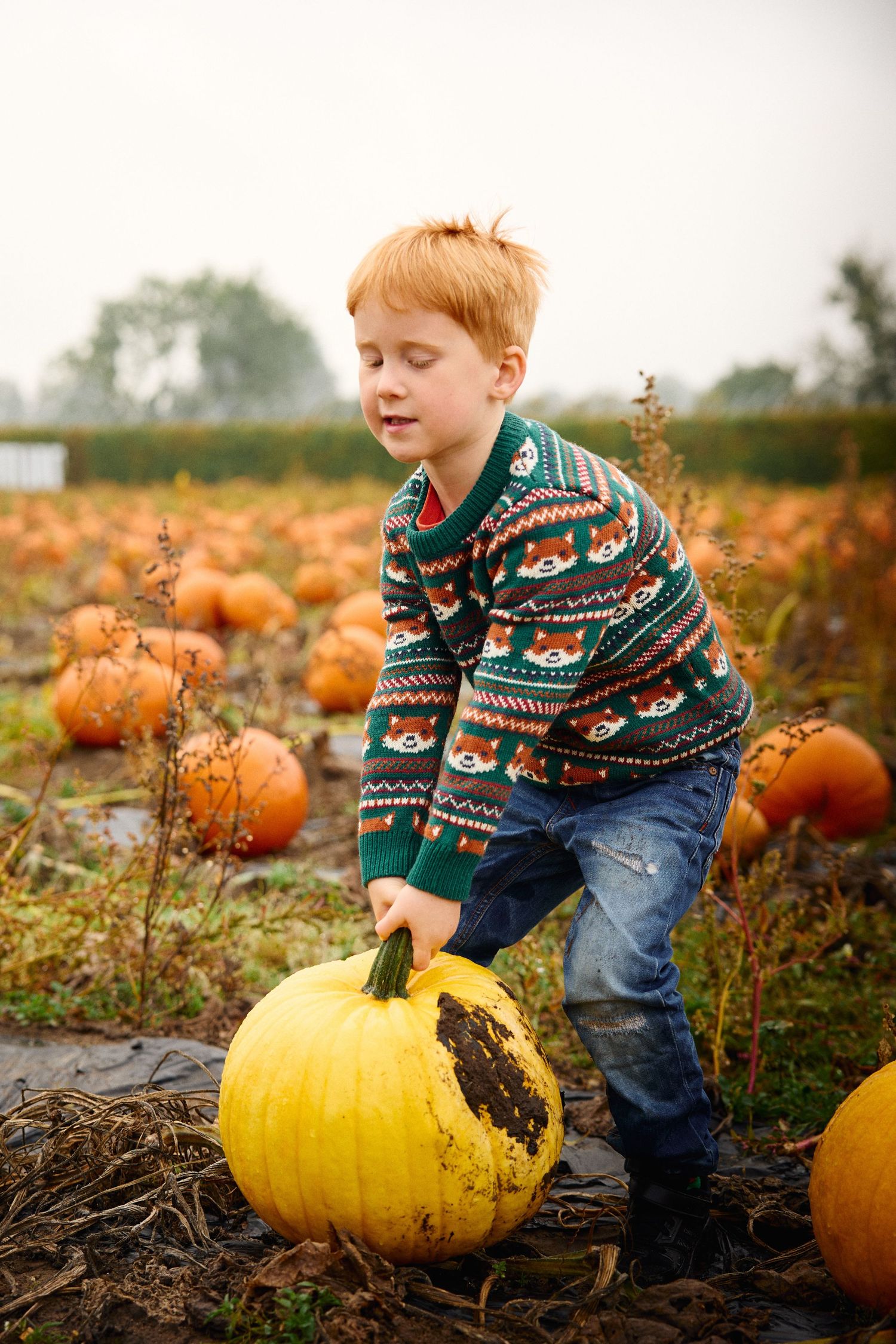 Child in patterned sweater explores large yellow pumpkins in a muddy field.