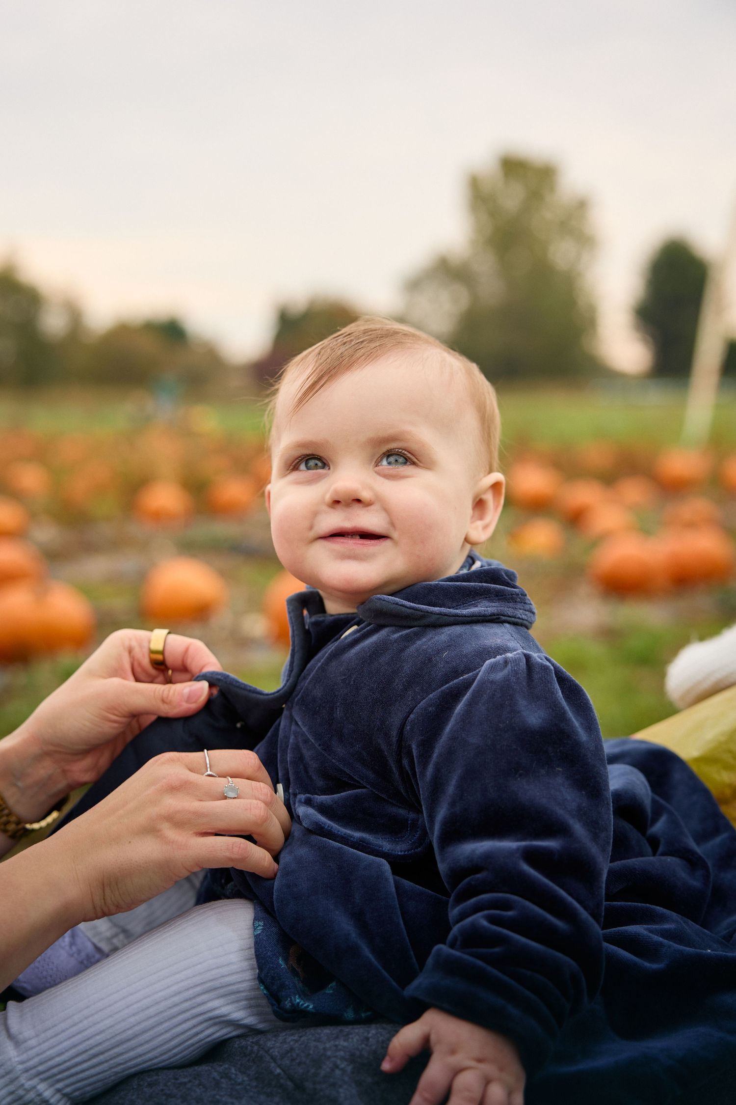 Baby in navy outfit lying on back during outdoor autumn photoshoot.