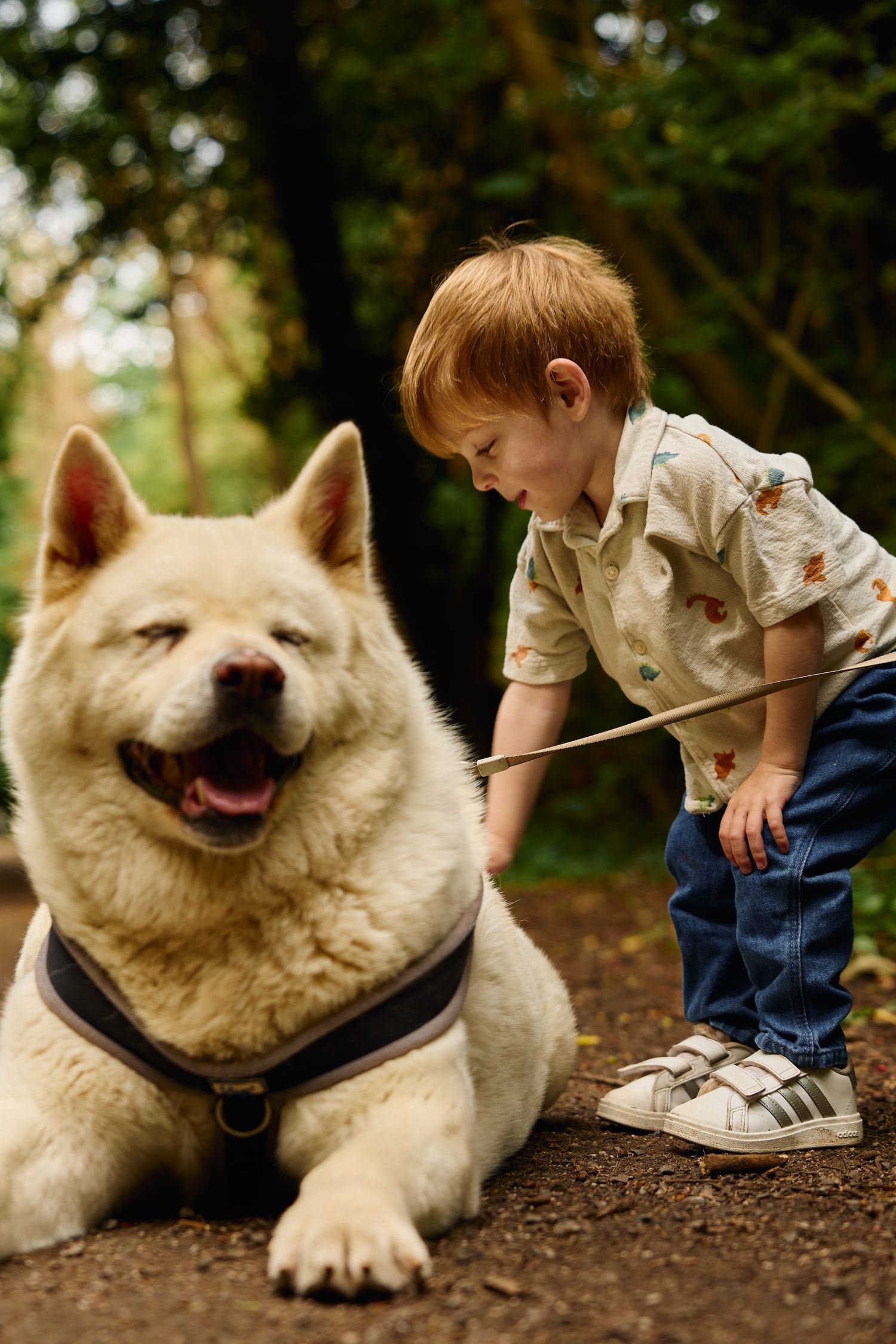 A fluffy white dog lying on the ground while a child pets and interacts with it in an outdoor setting.