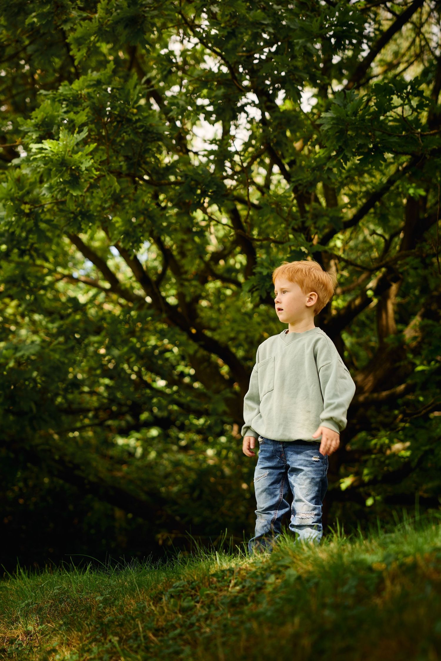 Child in grey sweater explores grassy area surrounded by trees during photo shoot.