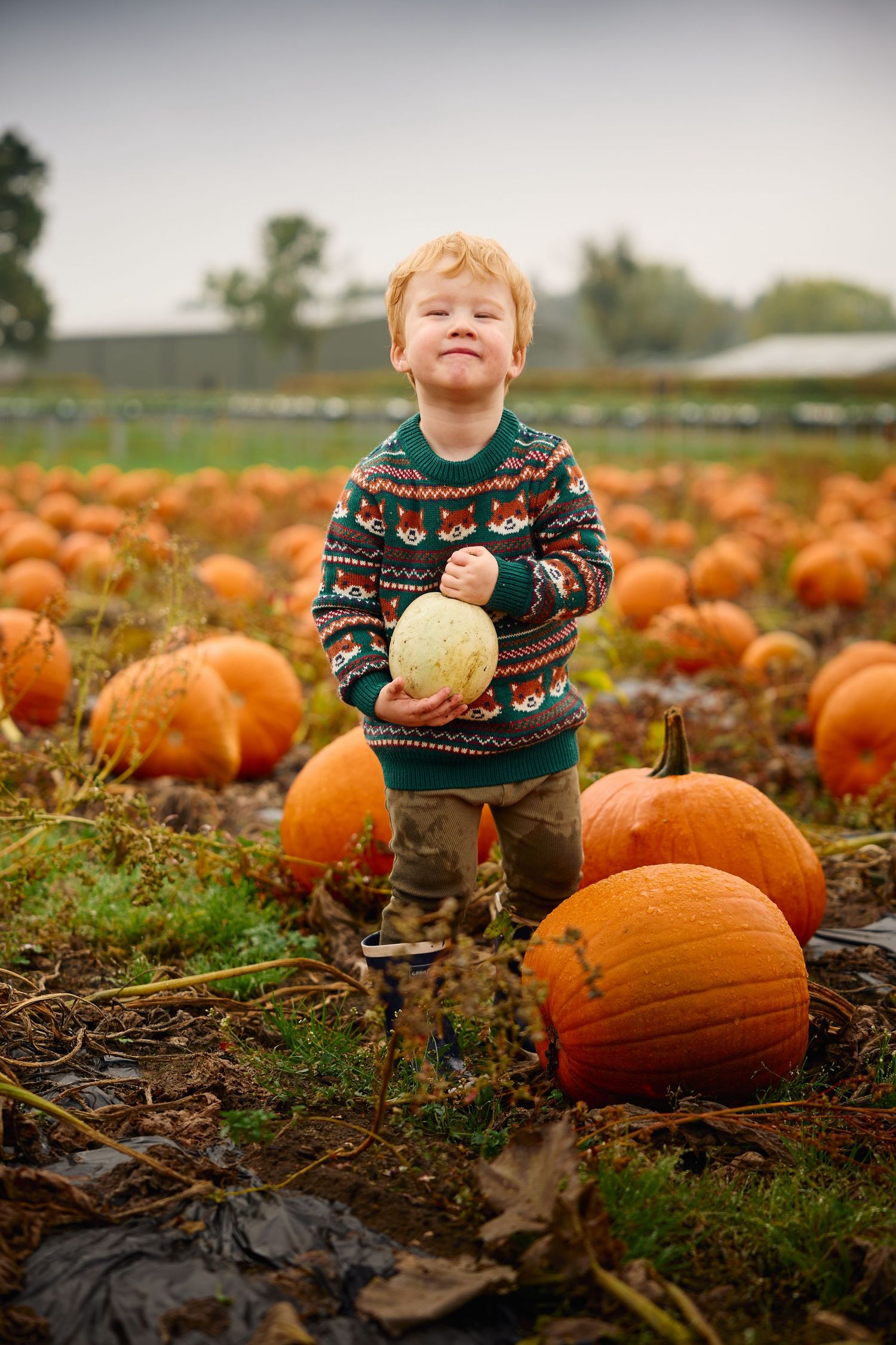 Child wearing festive sweater examines pumpkins in an autumn field.