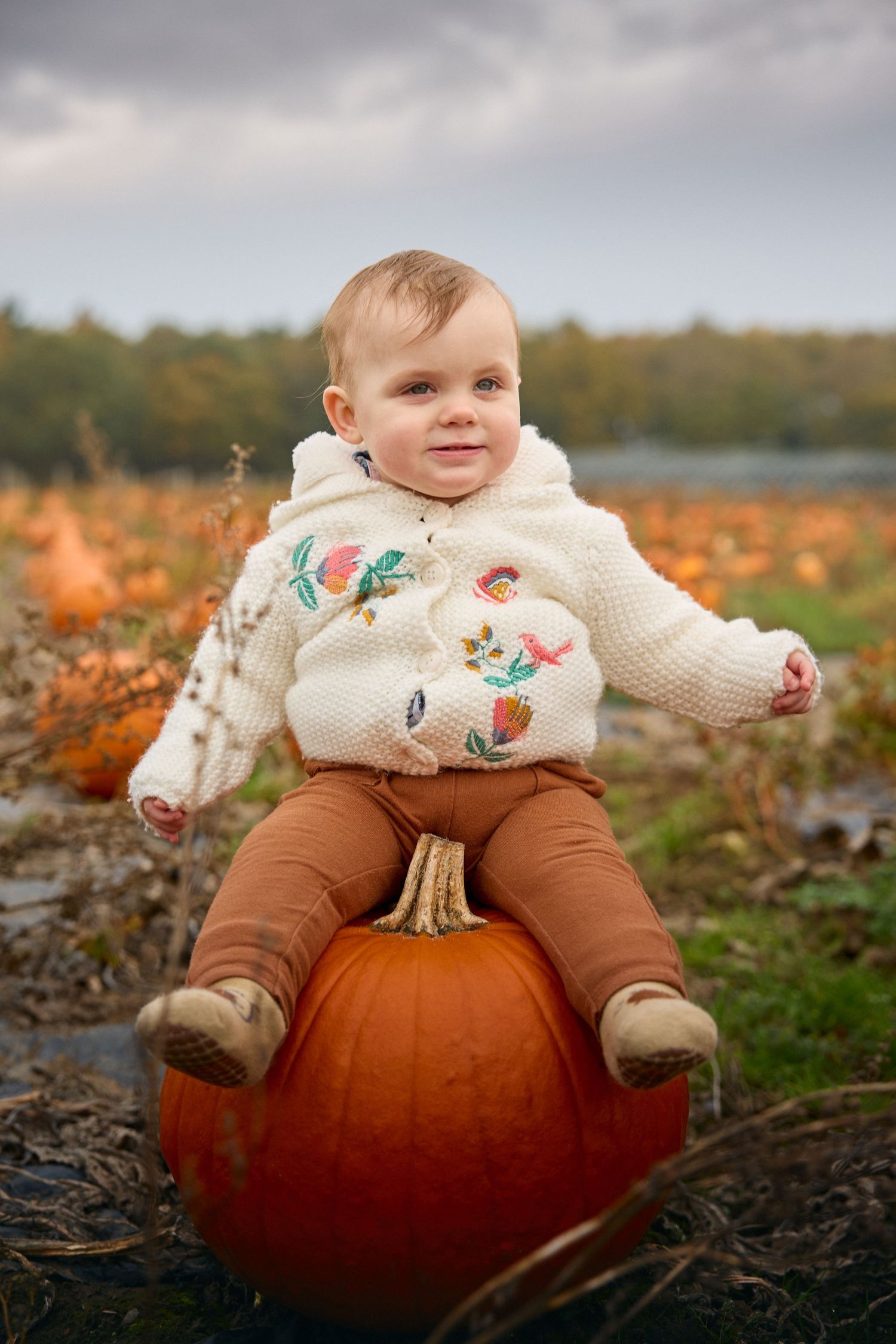 Large orange pumpkin being used as autumn photo prop in outdoor setting.