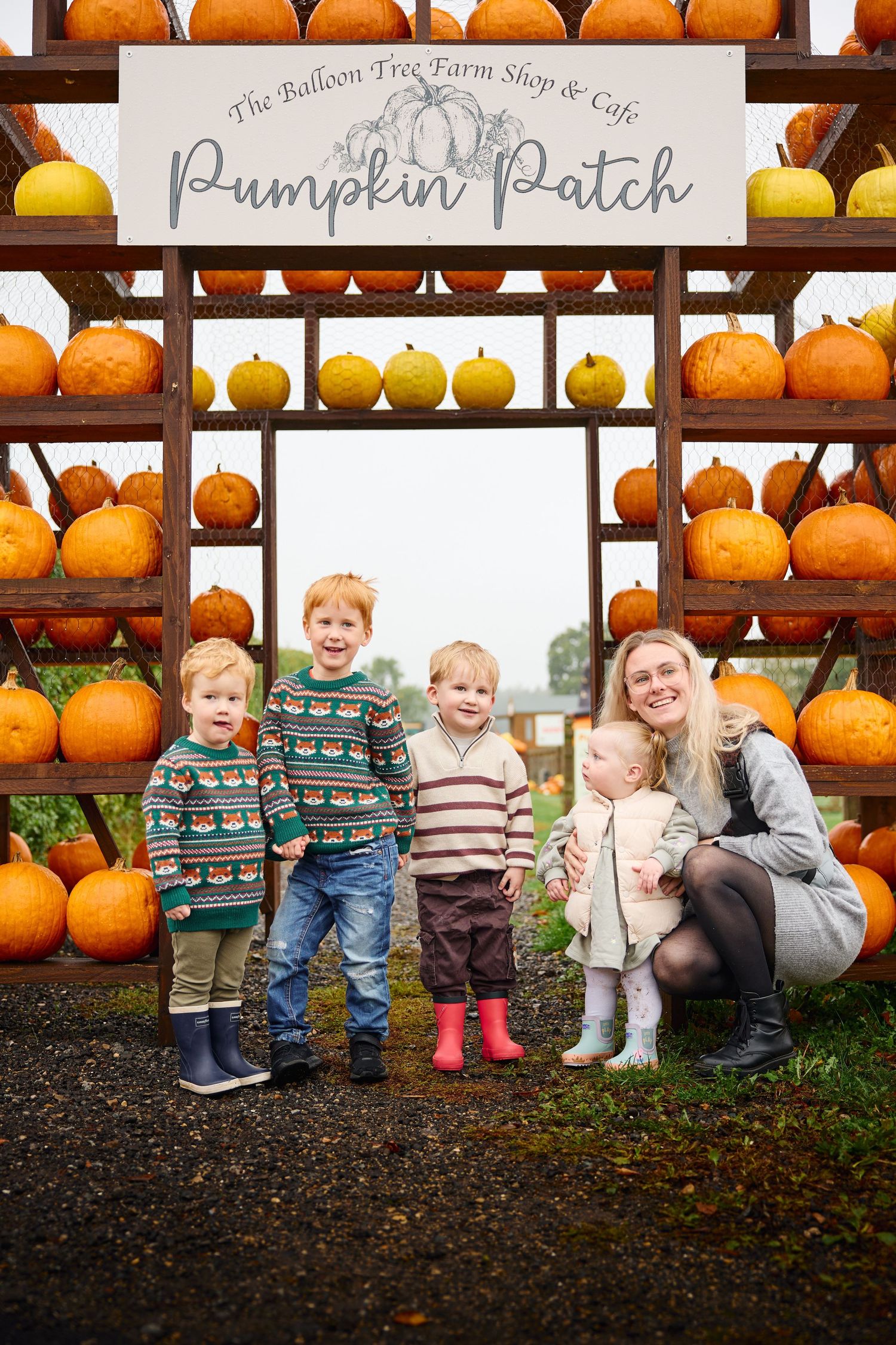 Row of orange pumpkins displayed on wooden shelves at farm stand.