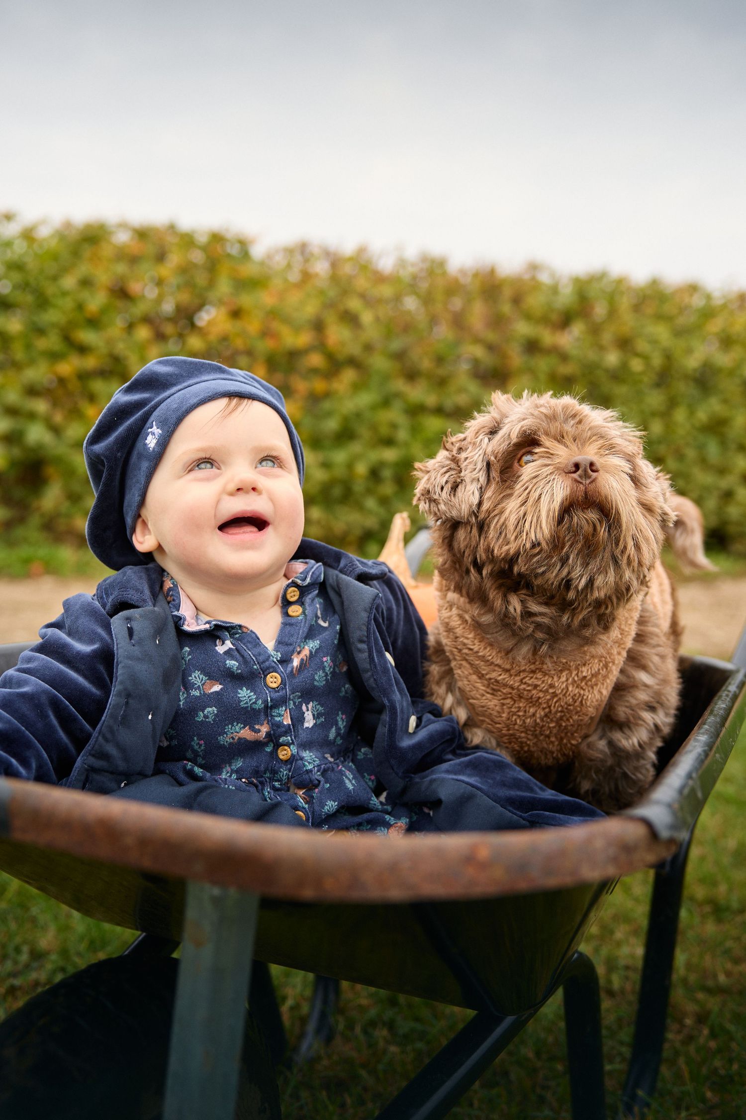 A baby and furry dog share a sweet moment while resting on a metal surface outdoors.