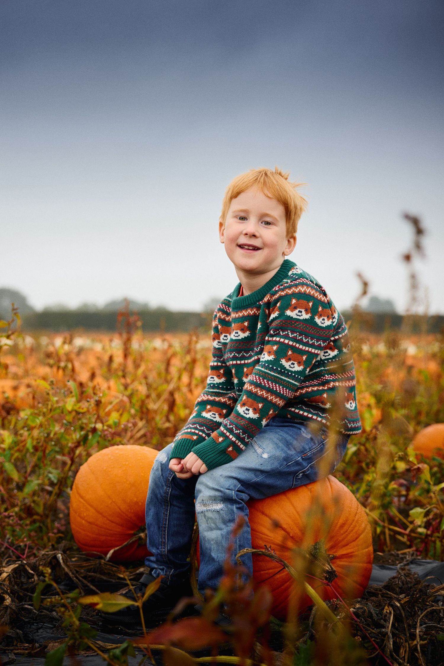 Large orange pumpkin in autumn field during harvest season.